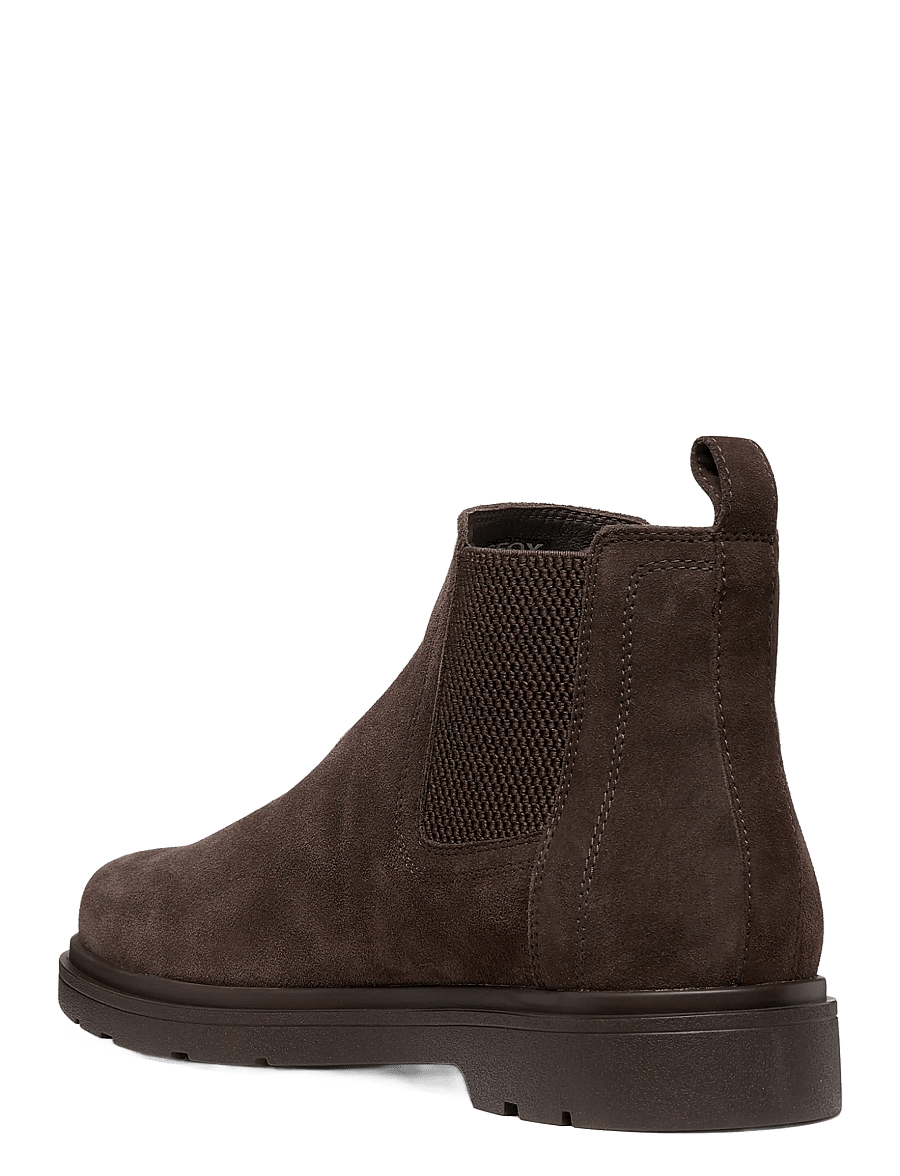 GEOX - U SPHERICA EC1 B A - chelsea boots - chocolate - 1