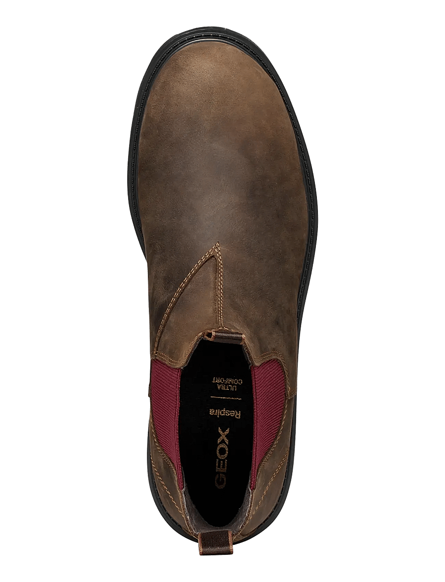 GEOX - U SPHERICA EC7 B D - chelsea boots - coffee/bordeaux - 3