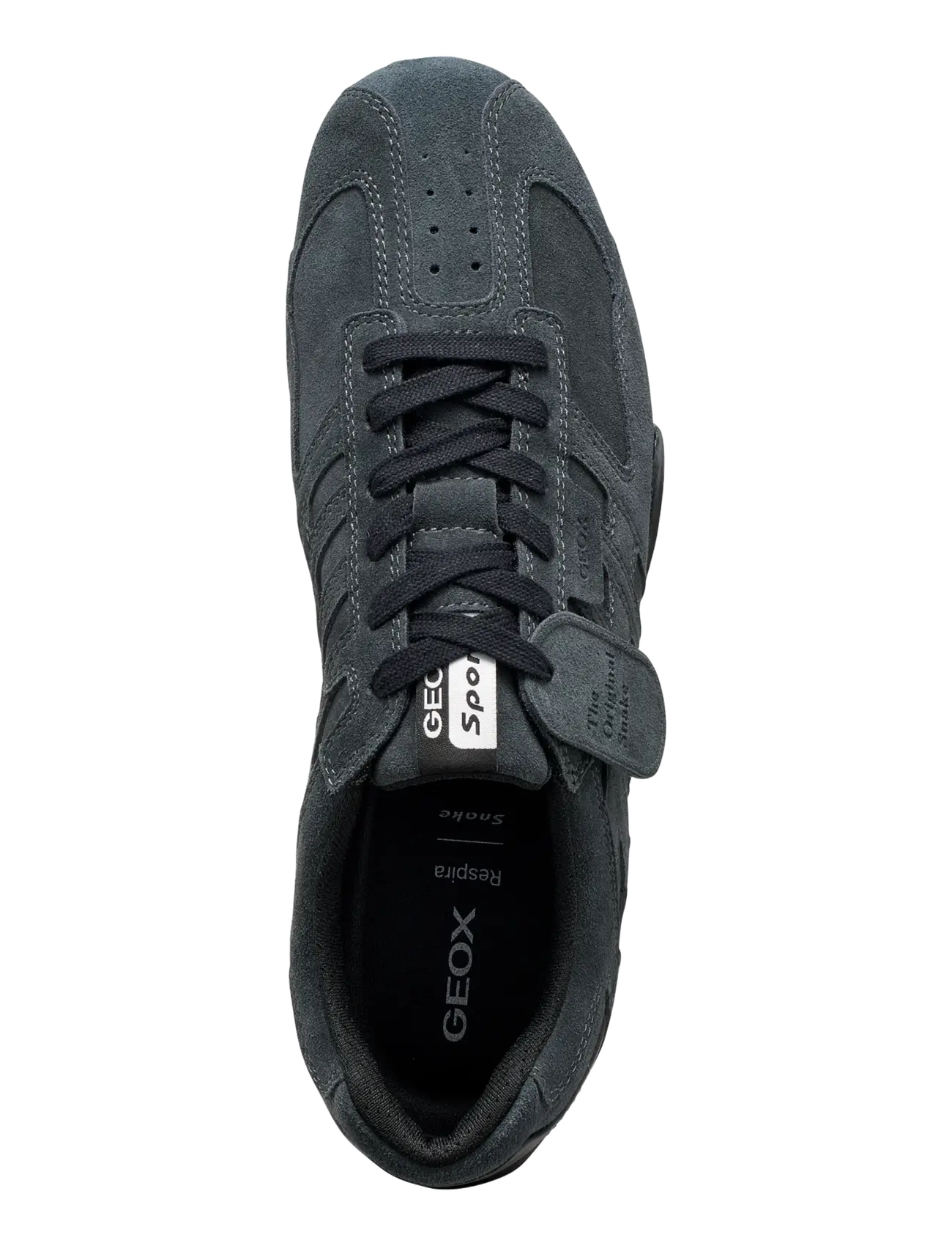 GEOX - U SNAKE A - low tops - anthracite - 3