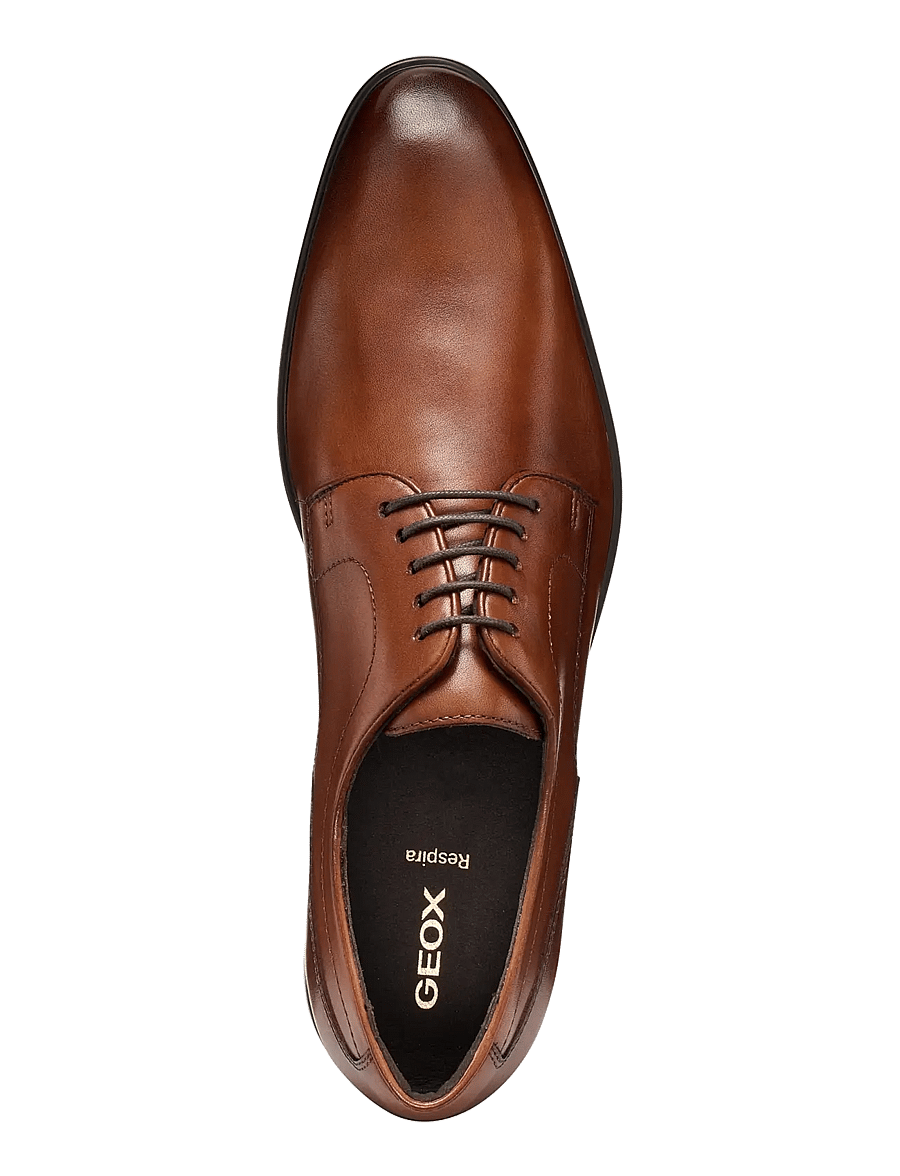GEOX - U THALOS A - derby kingad - cognac - 3