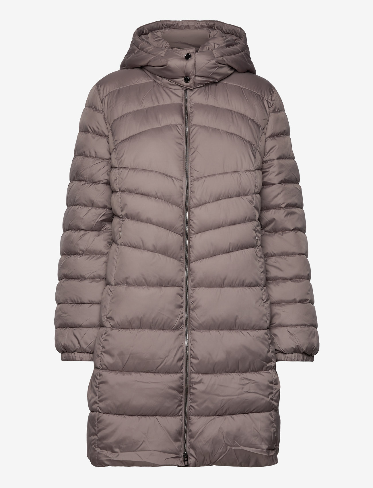 Gerry Weber Outdoor Buy Padded Coats from Gerry