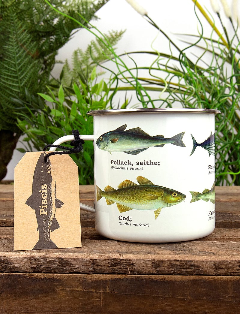 Gift Republic - Enamel Mug Multi Fish - kaffetassen - white - 3
