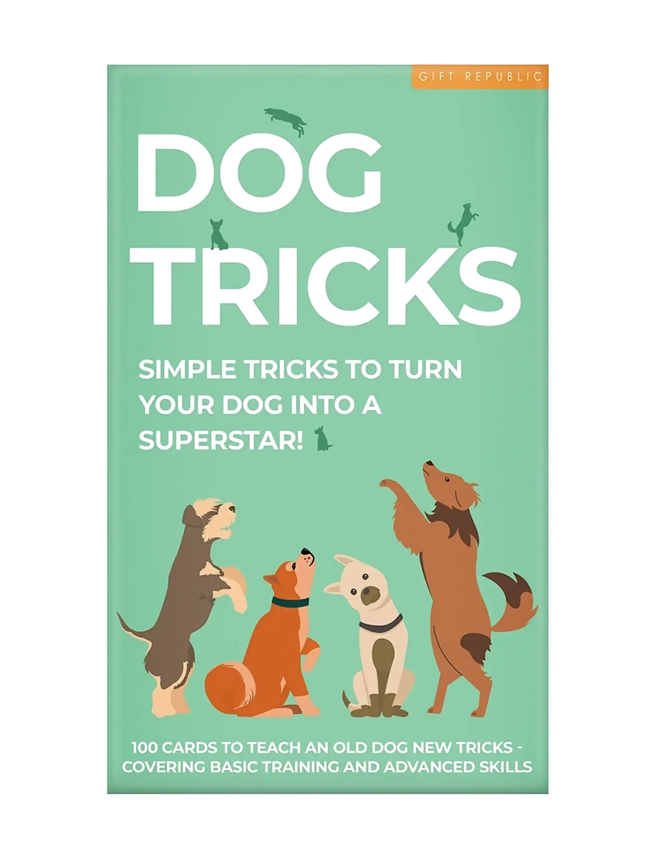 Gift Republic Dog Tricks Card Pack - Raamatud - GREEN / green