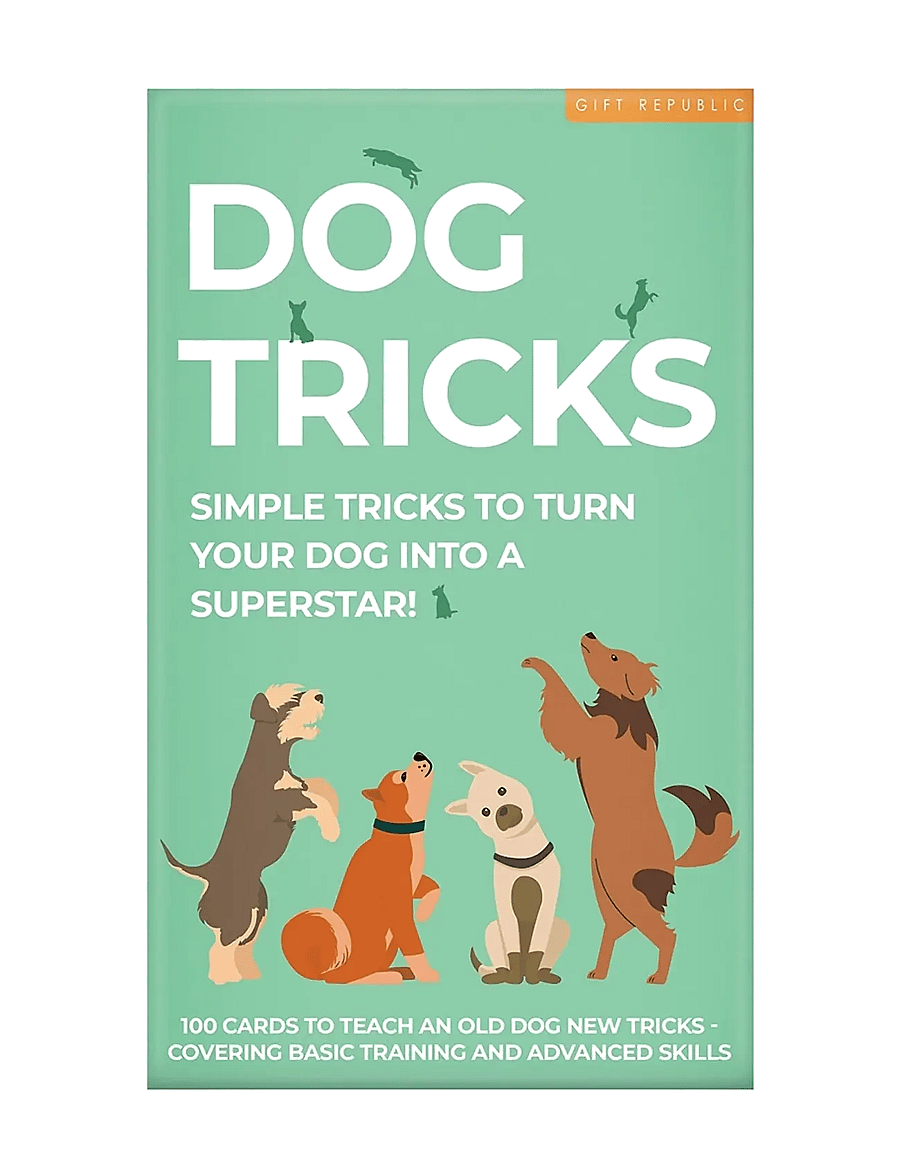 Gift Republic - Dog Tricks Card Pack - die niedrigsten preise - green - 0