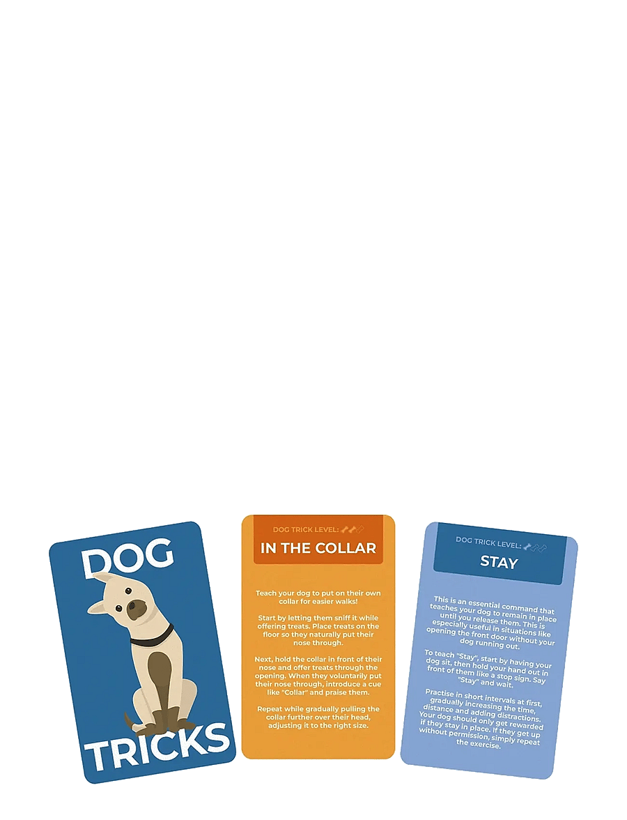 Gift Republic - Dog Tricks Card Pack - die niedrigsten preise - green - 1