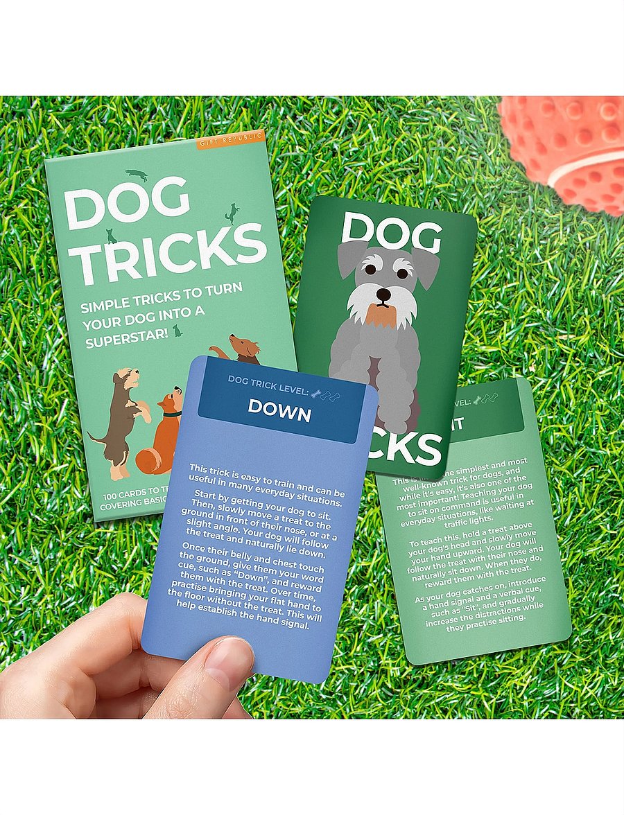 Gift Republic - Dog Tricks Card Pack - die niedrigsten preise - green - 5
