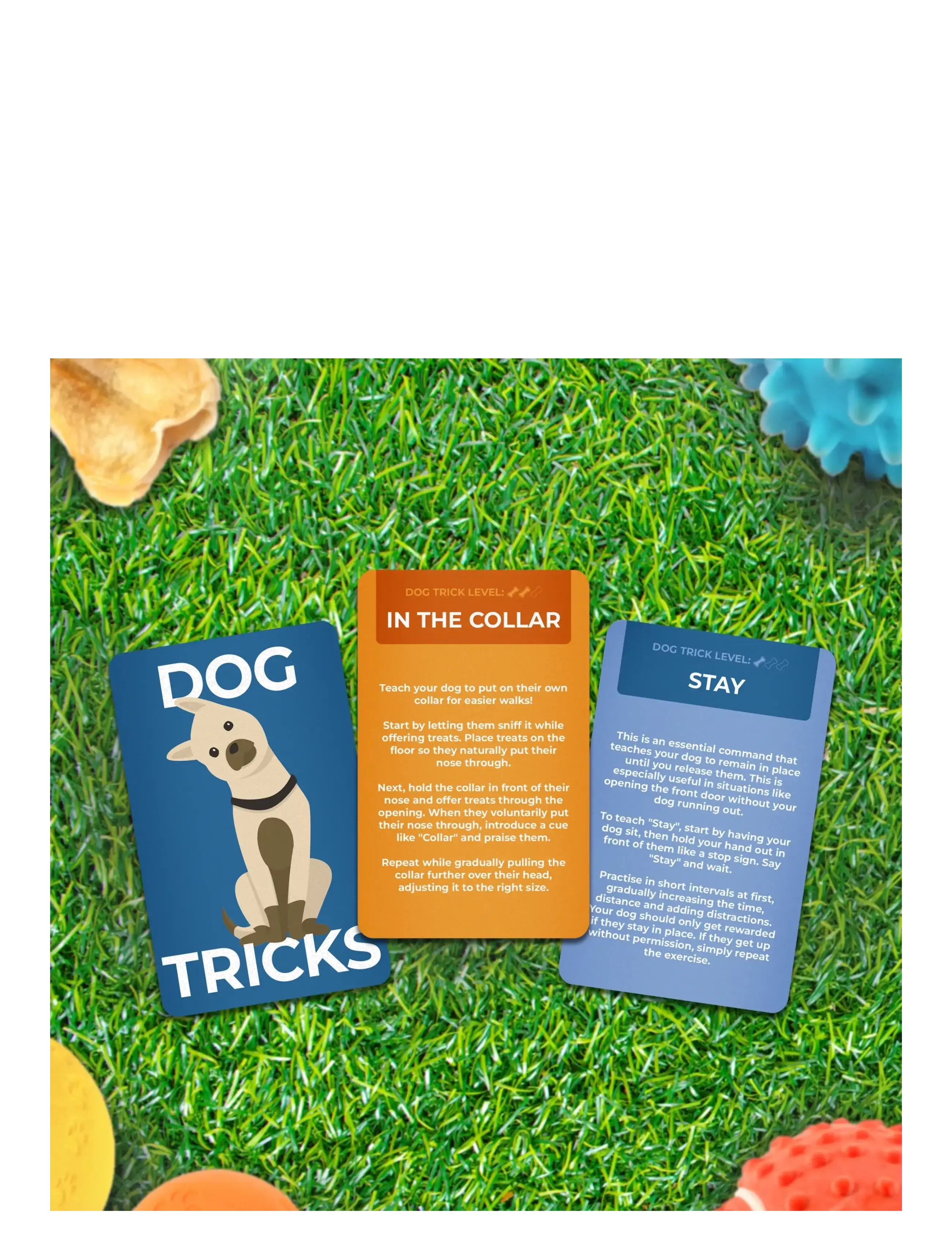 Gift Republic - Dog Tricks Card Pack - coffee table books - green - 4