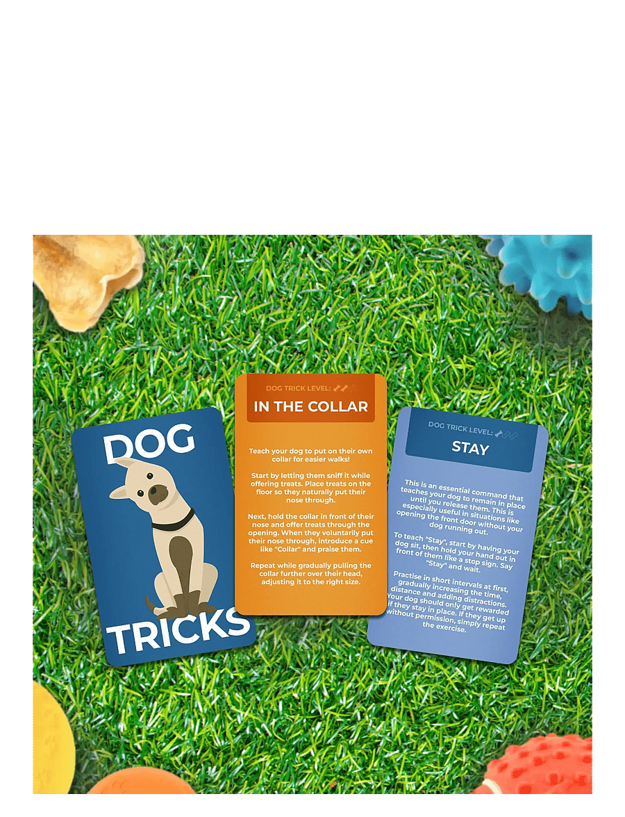 Gift Republic - Dog Tricks Card Pack - die niedrigsten preise - green - 3