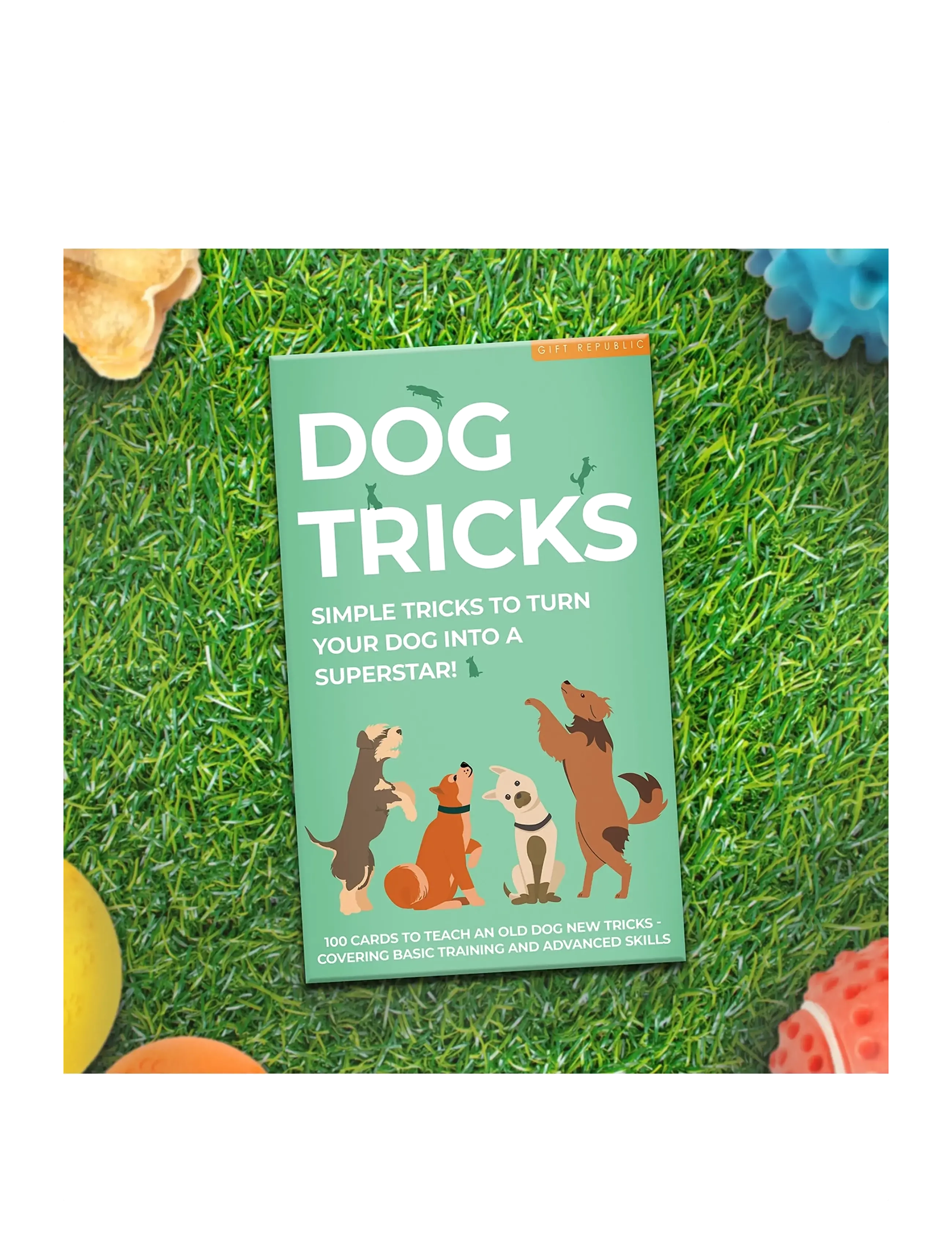 Gift Republic - Dog Tricks Card Pack - coffee table books - green - 5