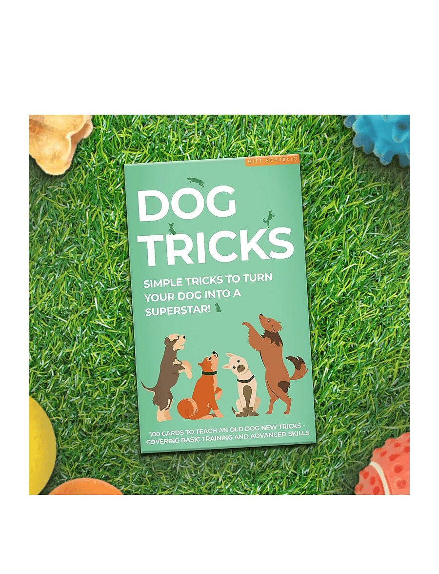 Gift Republic - Dog Tricks Card Pack - die niedrigsten preise - green - 4