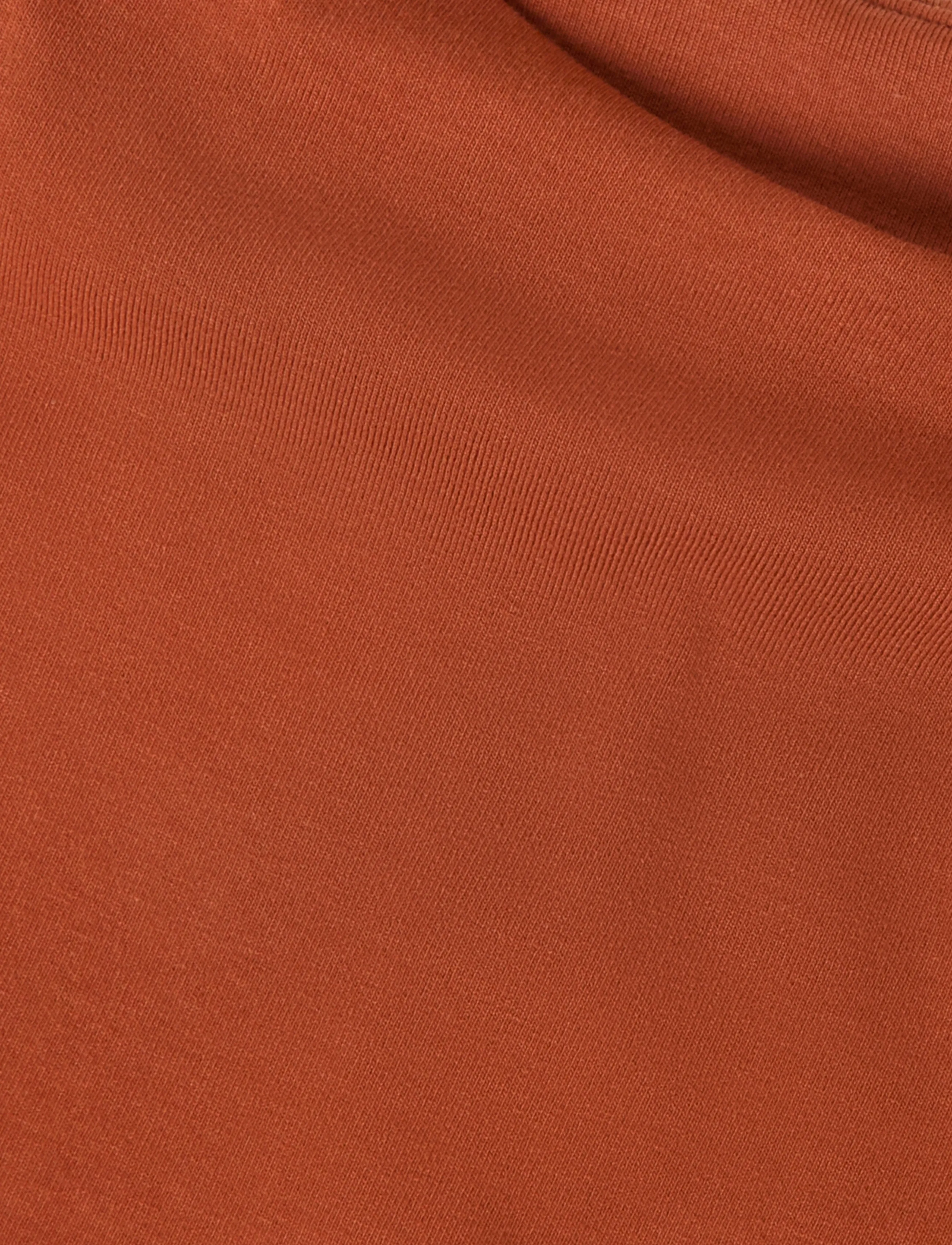Gina Tricot - Funnel neck top - arabian spice - 2