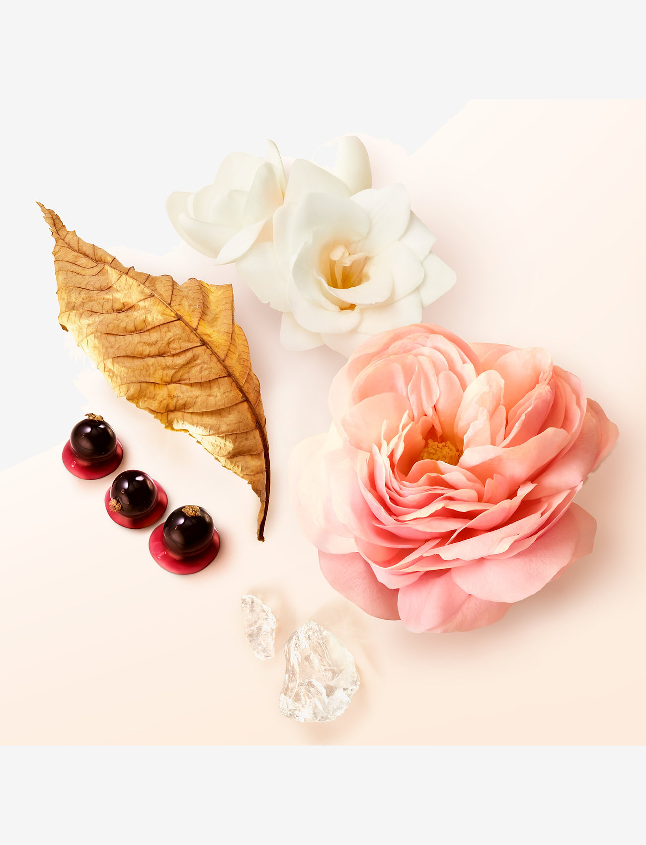 Armani - Sì Eau de Parfum - bliv klar til date night - clear - 5