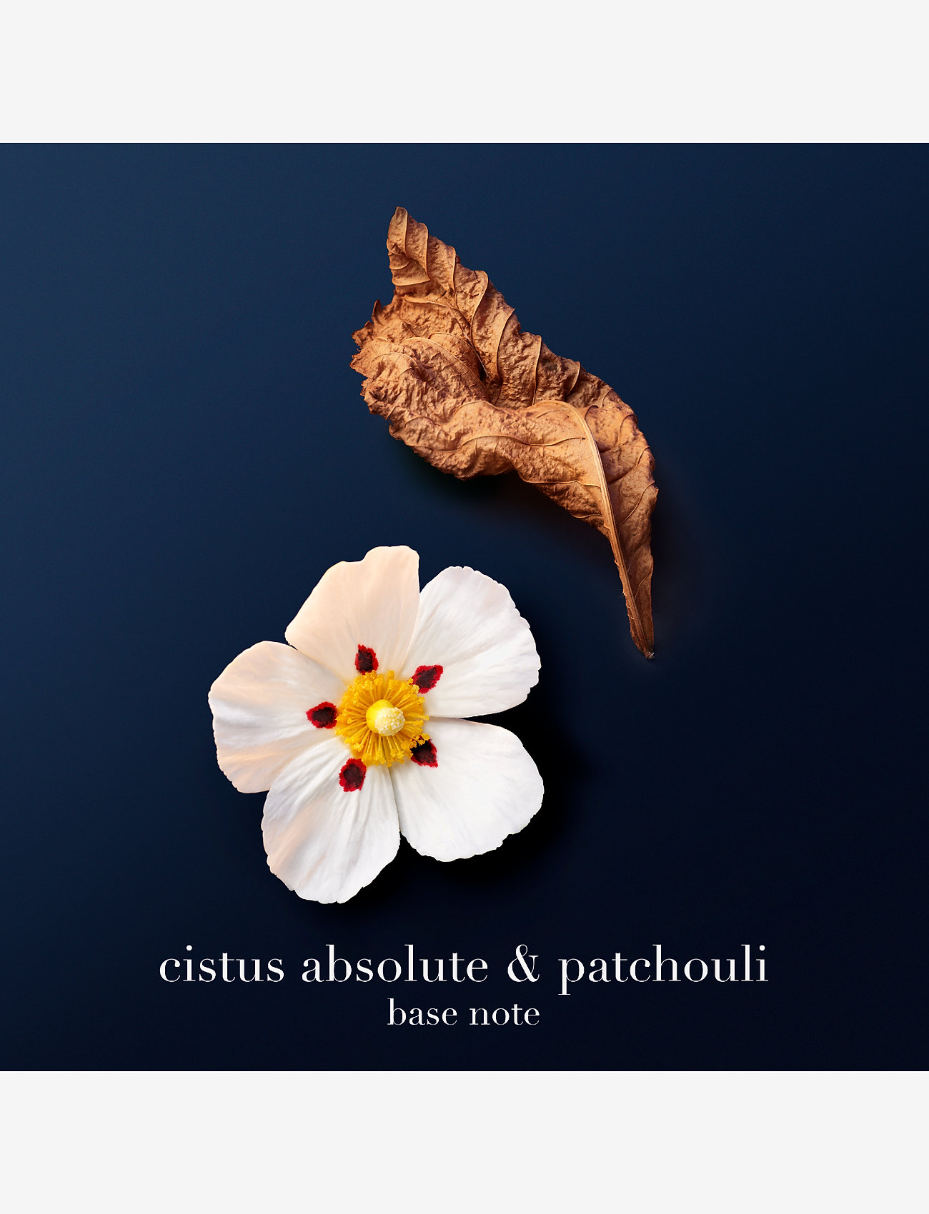 Armani - Giorgio Armani Acqua di Giò Profondo Parfum 100ml - til ham  - clear - 5