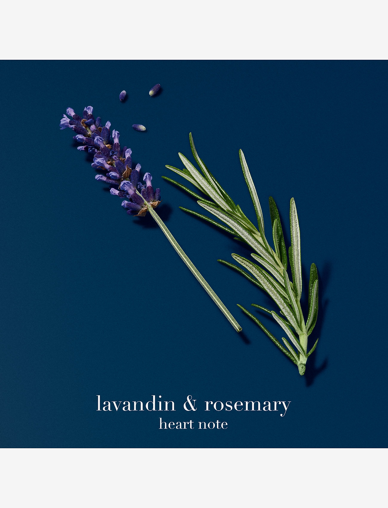 Armani - Giorgio Armani Acqua di Giò Profondo Eau de Parfum 50ml - til ham  - clear - 4