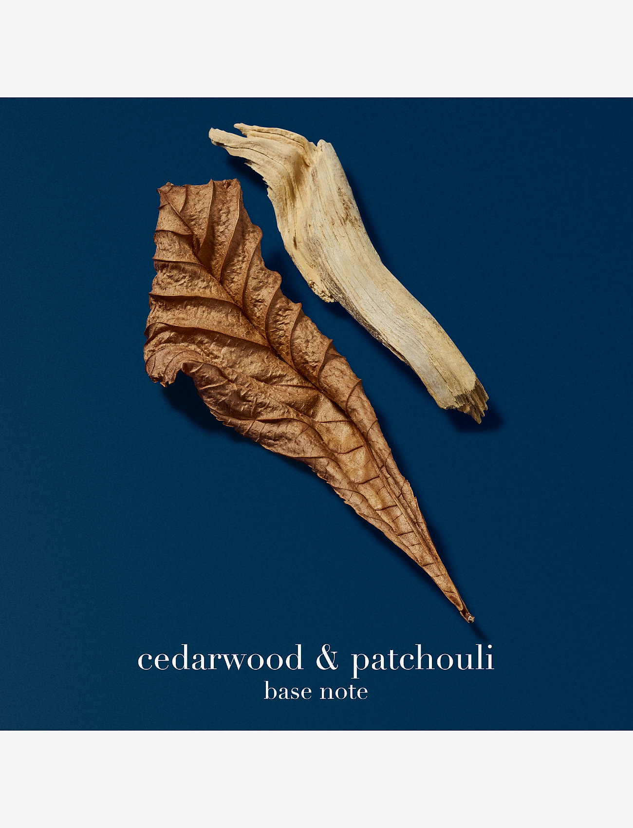 Armani - Giorgio Armani Acqua di Giò Profondo Eau de Parfum 50ml - til ham  - clear - 5