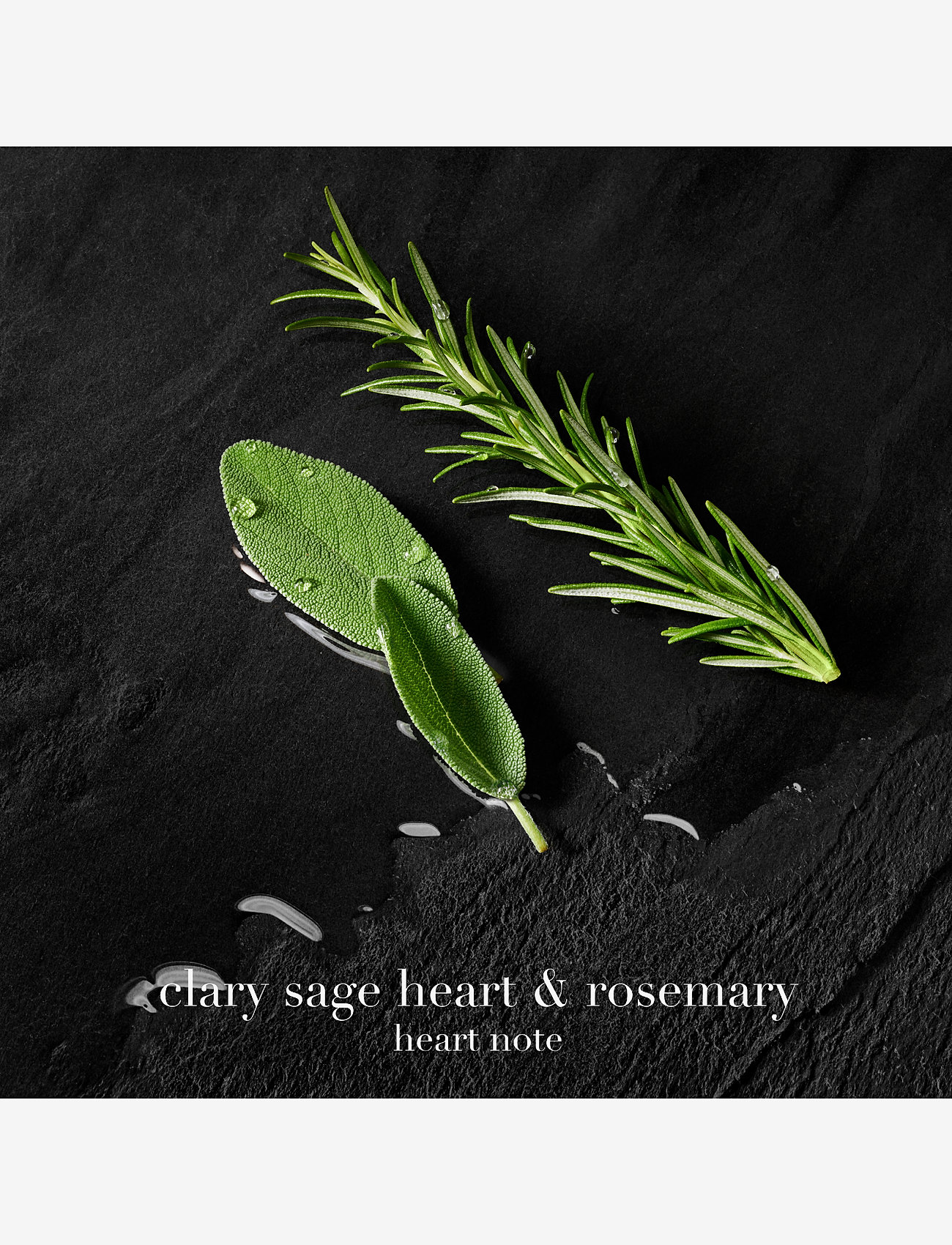 Armani - Armani Acqua di Giò Parfum 30ml - clear - 4