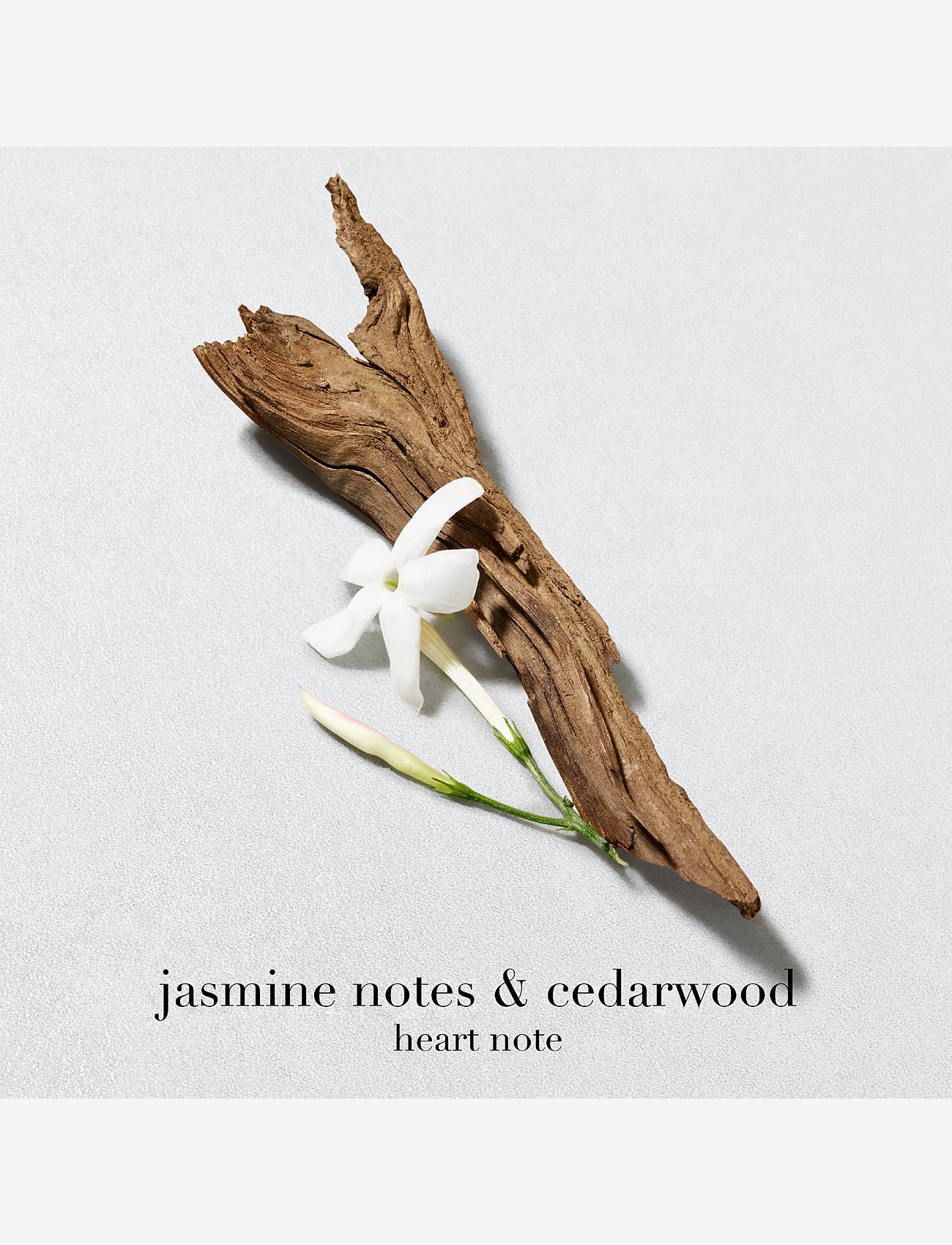 Armani - Acqua di Giò Eau de Toilette Refill 150ml - miehille  - clear - 4