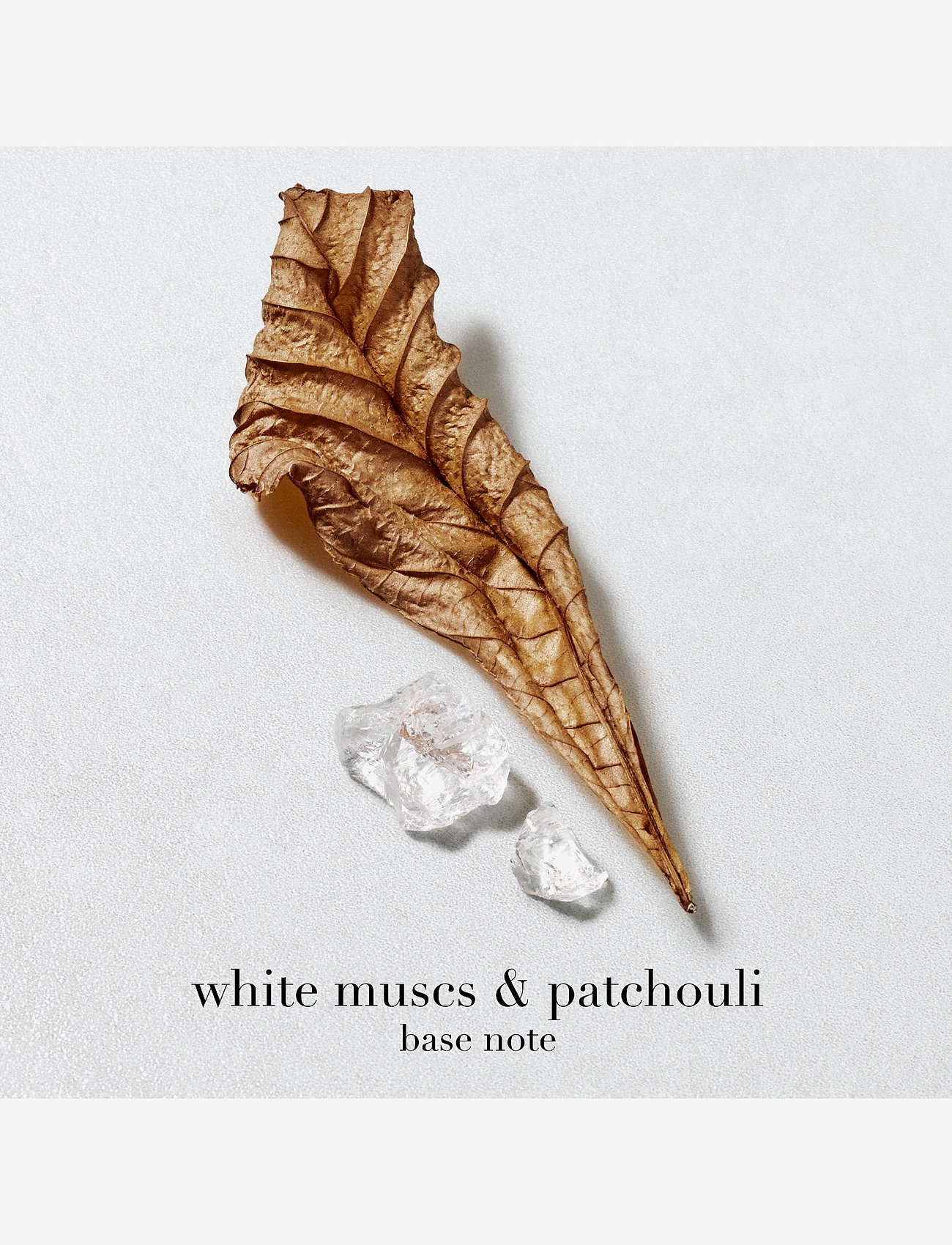 Armani - Acqua di Giò Eau de Toilette Refill 150ml - miehille  - clear - 5