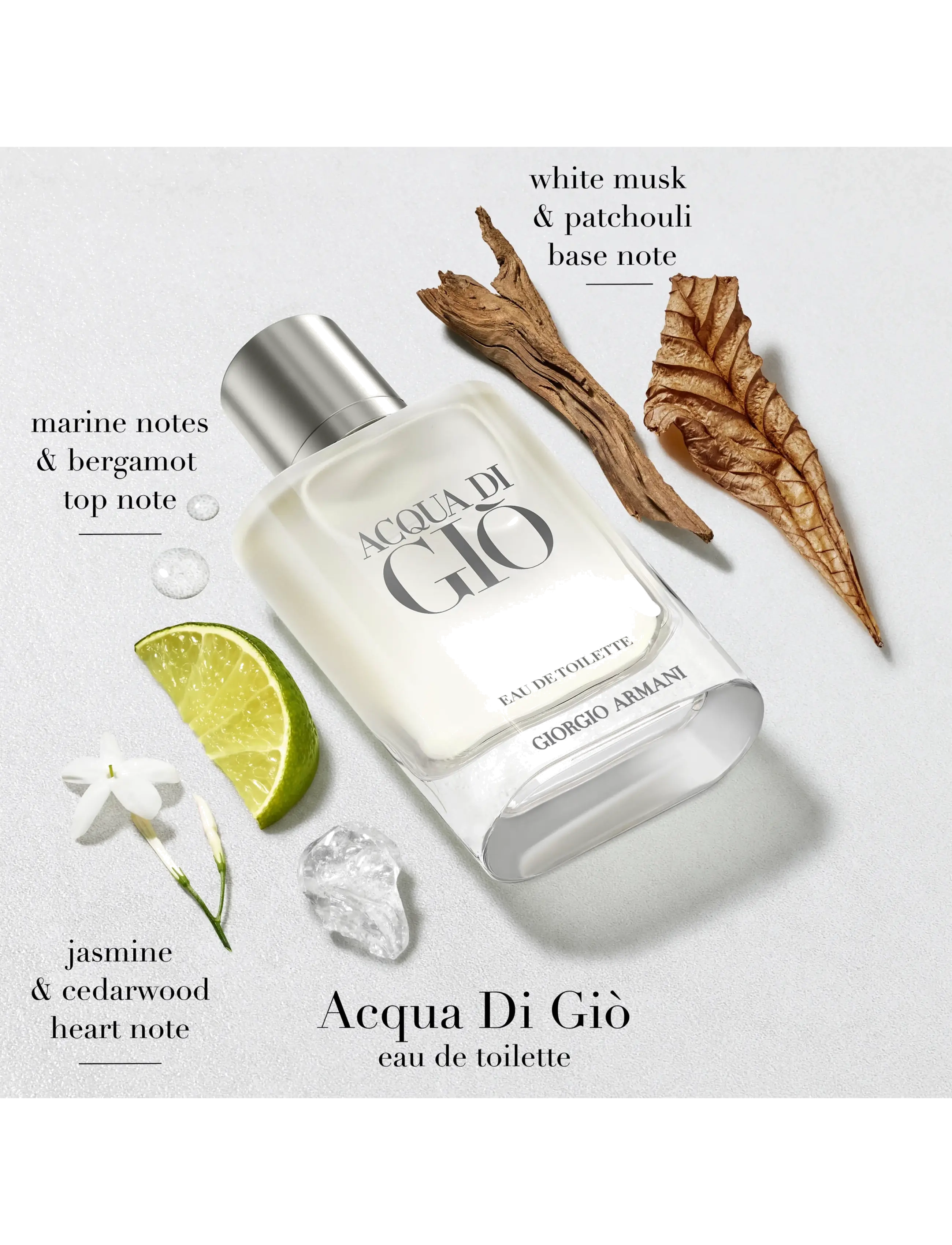 Armani - Giorgio Armani Acqua di Giò Eau de Toilette Holiday 50 ml 2026 Gift Set - til ham  - clear - 2