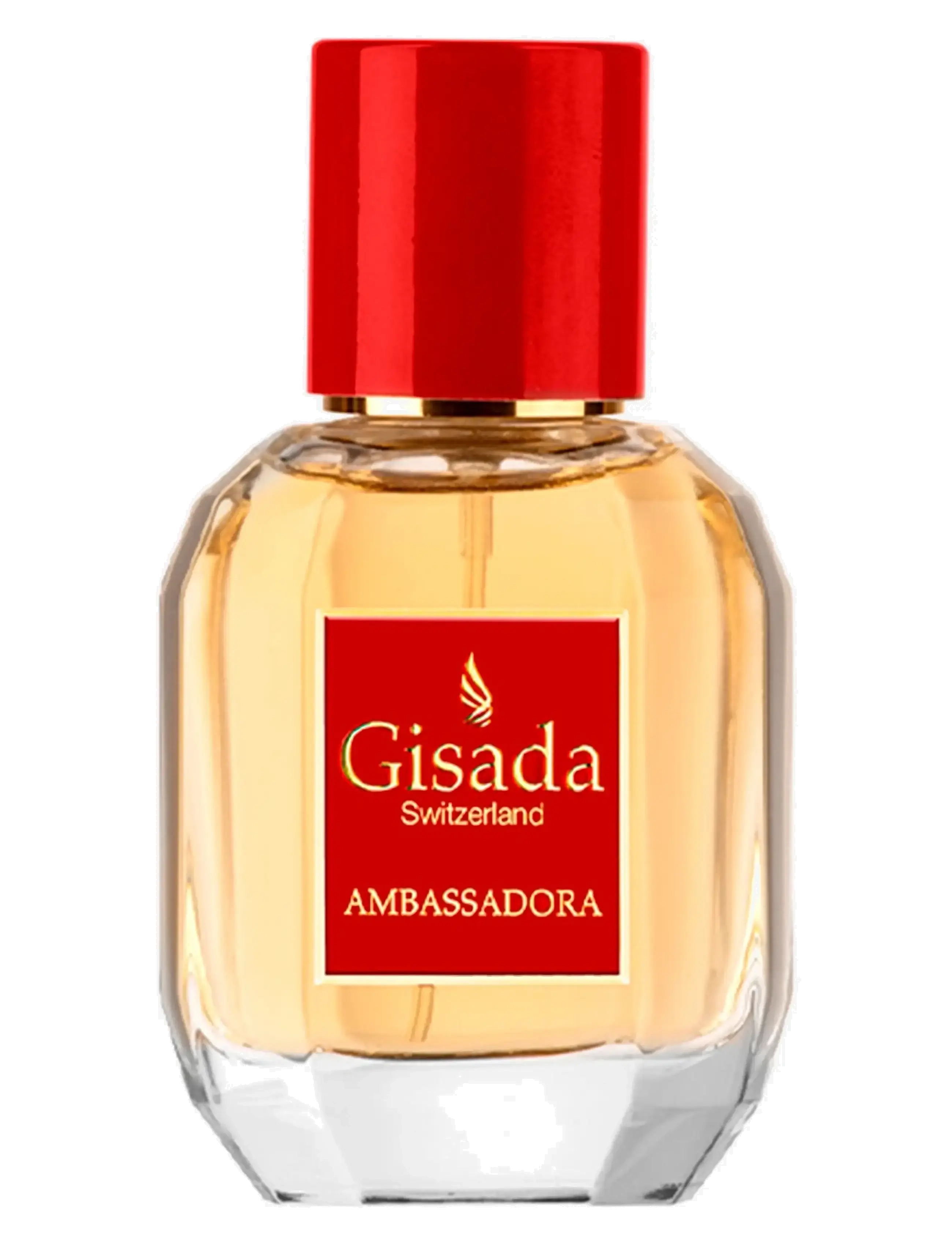 Gisada Ambassadora - Gisada - null / undefined