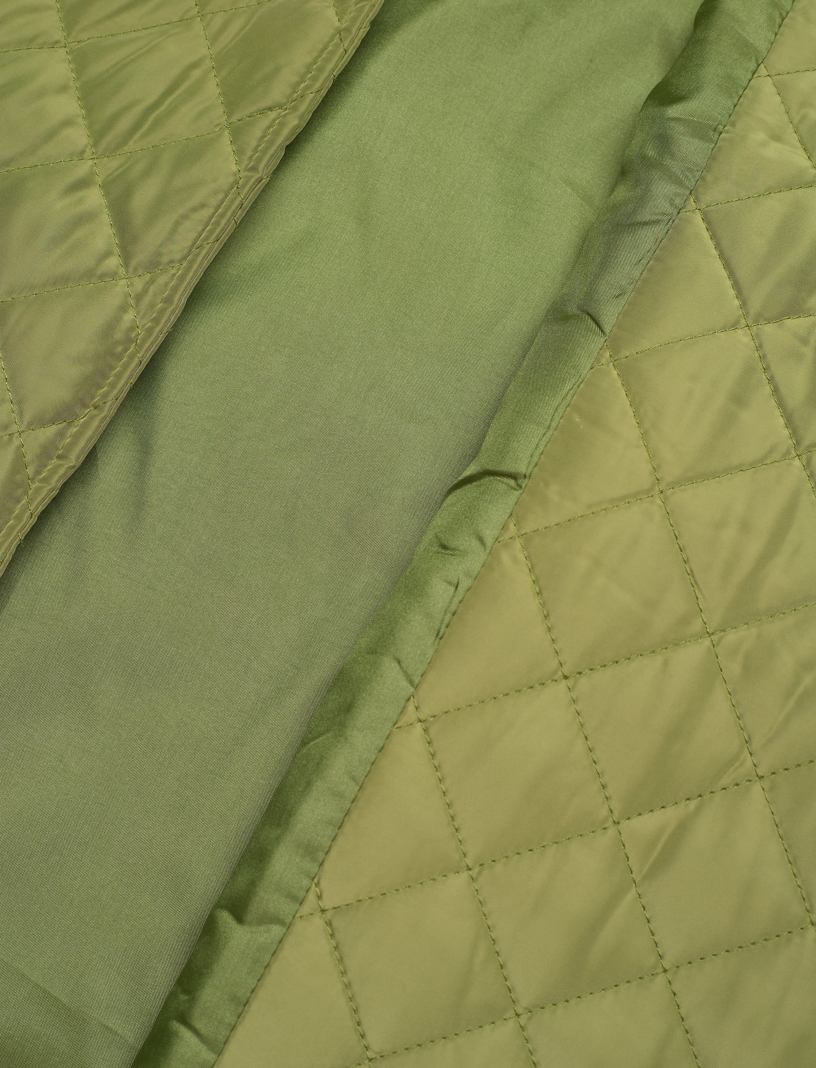 Global Funk - G-Robins - frühlingsjacken - pale olive - 4
