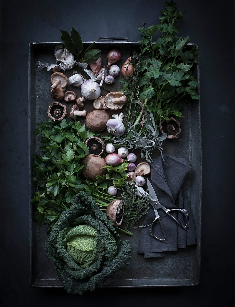 GLOBAL - Kitchen shears 21 cm - köögikäärid - staineless steel - 1