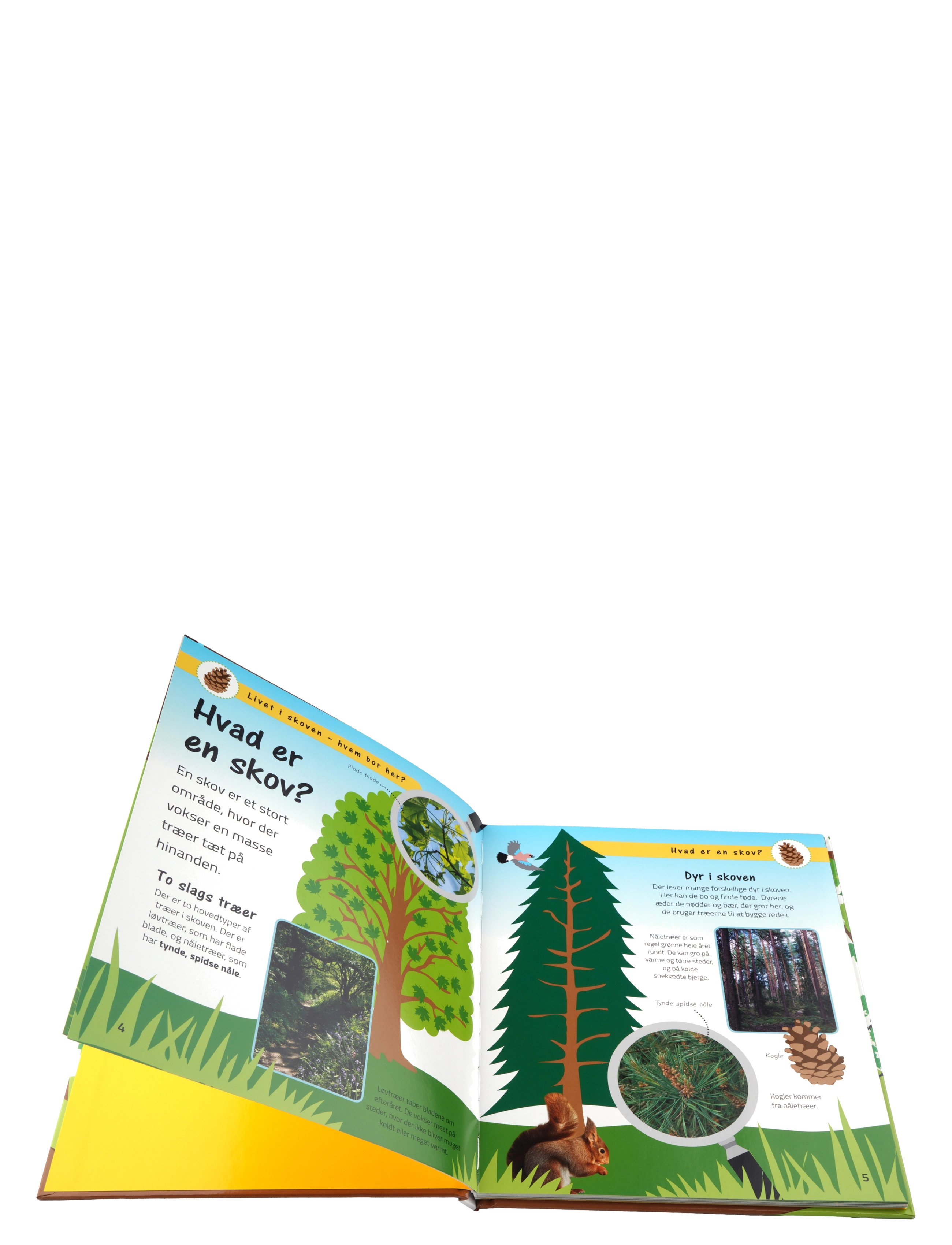 GLOBE - Livet i skoven - hvem bor her? - pedagogiska barnböcker - children's book - 1