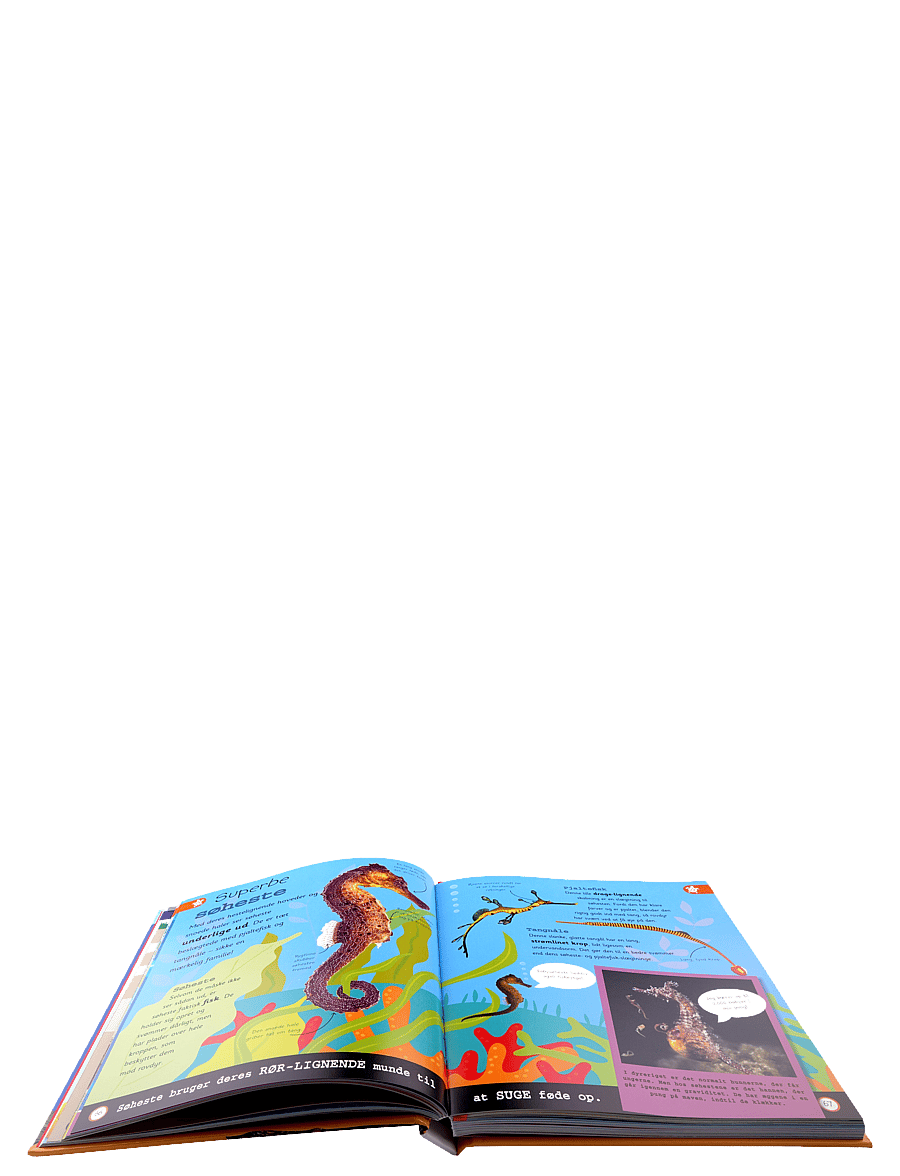 GLOBE - Havet - leksikon for de yngste - pedagogiska barnböcker - blue - 3