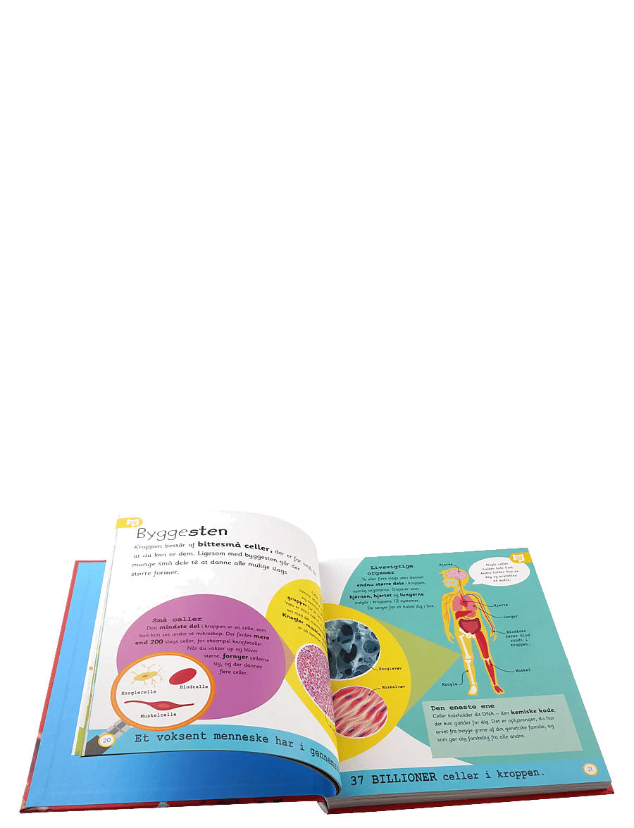 GLOBE - Kroppen - leksikon for de yngste - pedagogiska barnböcker - children's book - 1