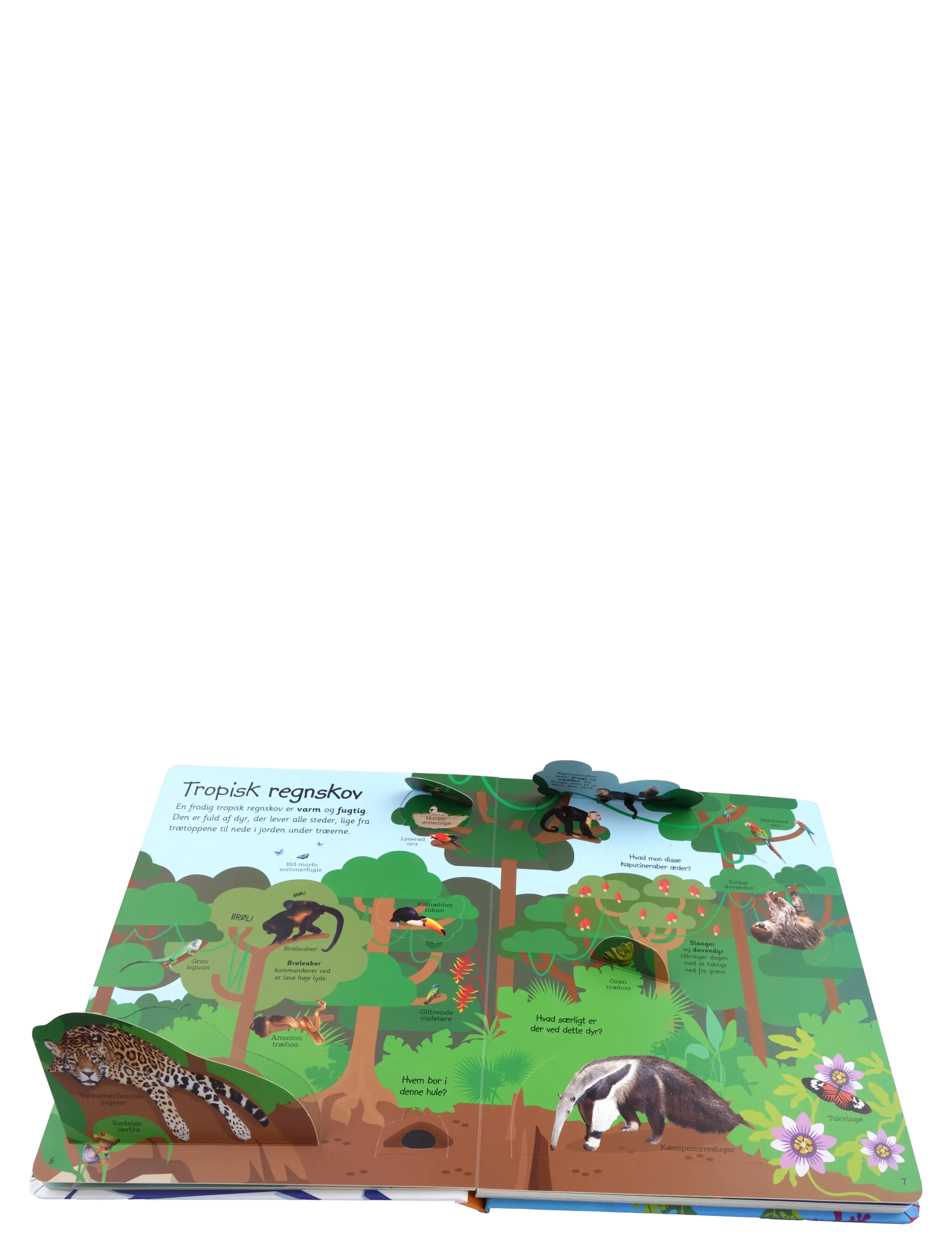GLOBE - Viden i børnehøjde: Dyr med flapper - pædagogiske bøger - boardbook - 2