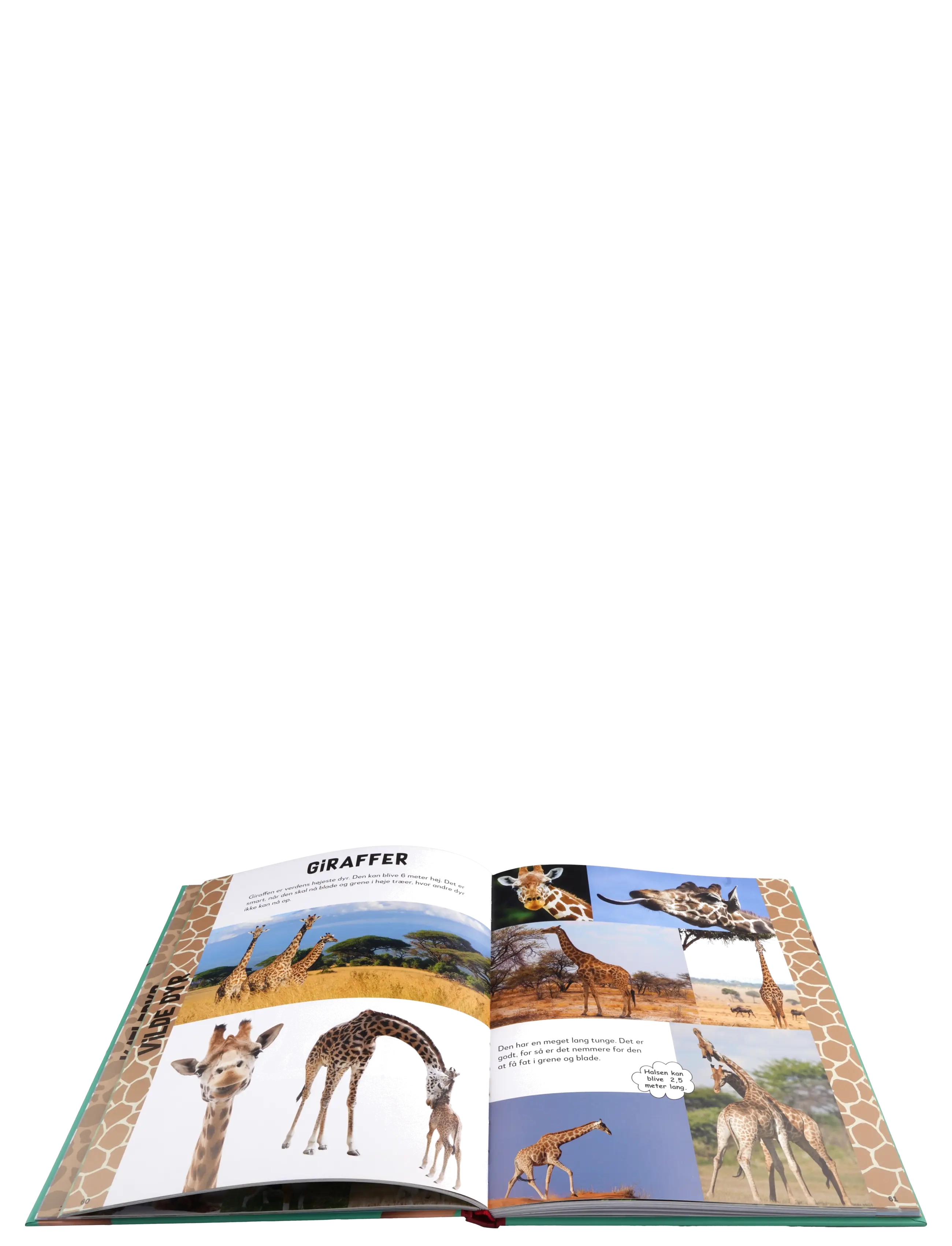 GLOBE - Jeg elsker dyr - pædagogiske bøger - children's books - 2