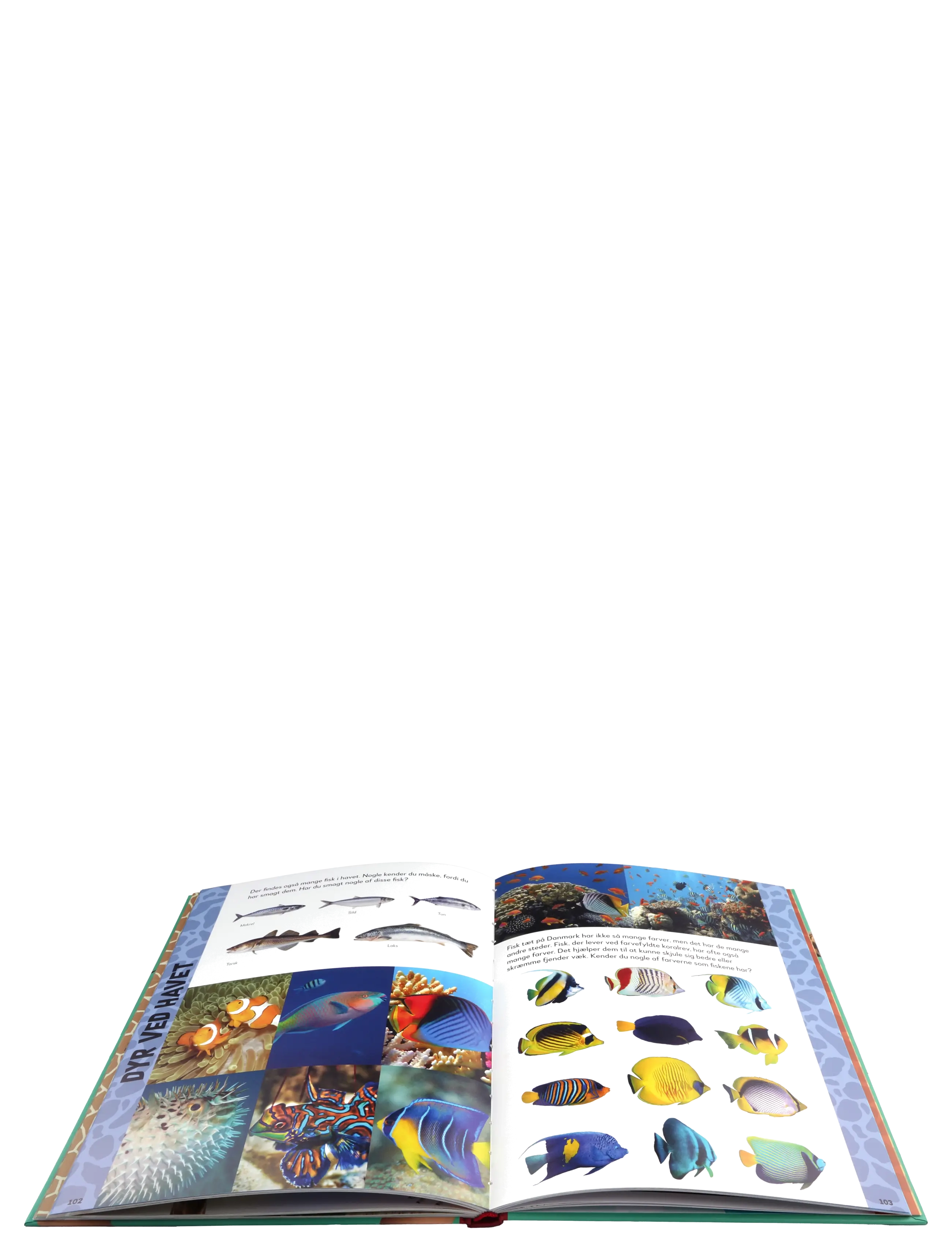 GLOBE - Jeg elsker dyr - pædagogiske bøger - children's books - 3
