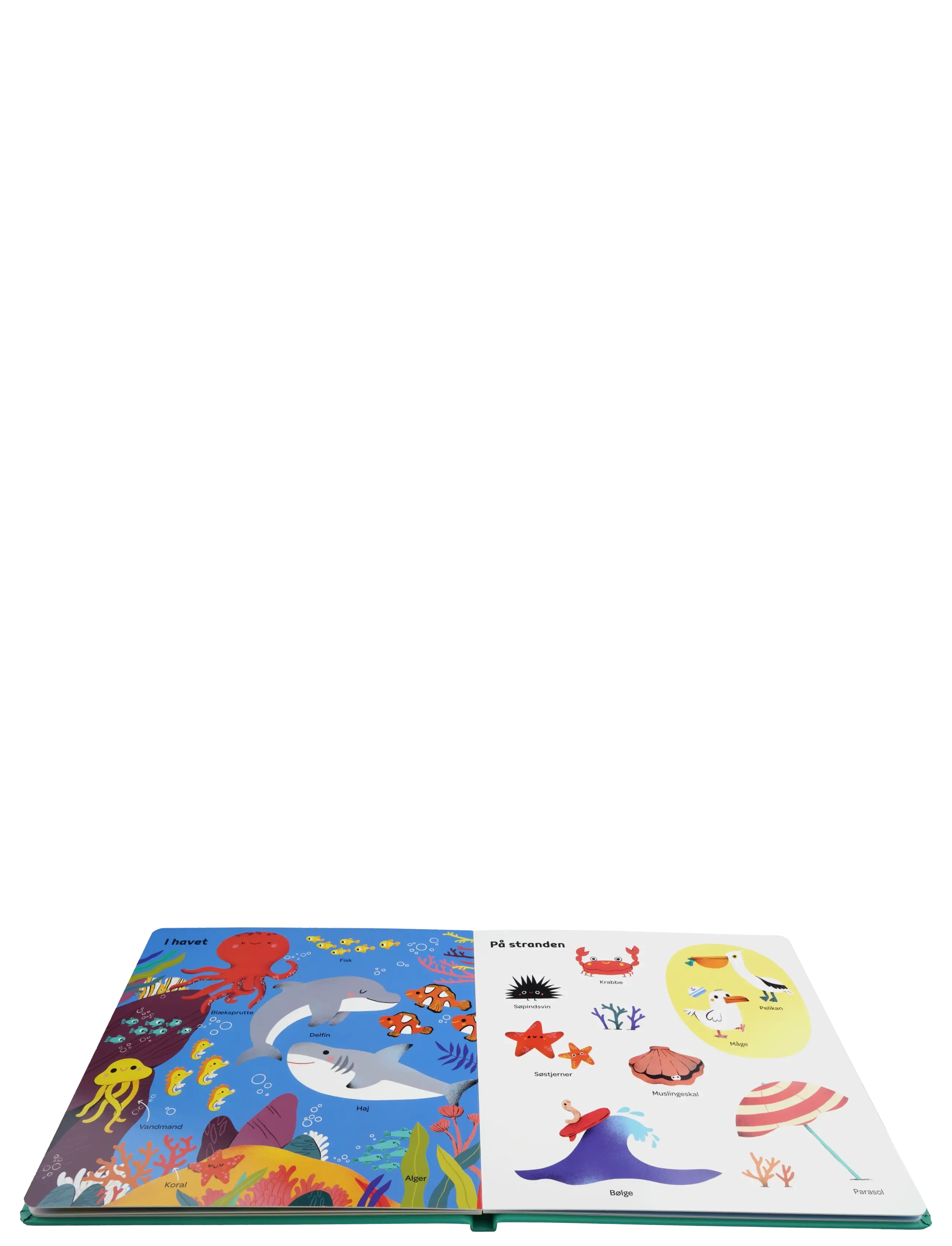 GLOBE - Mine 100 første ord - Min verden - pædagogiske bøger - boardbook - 3