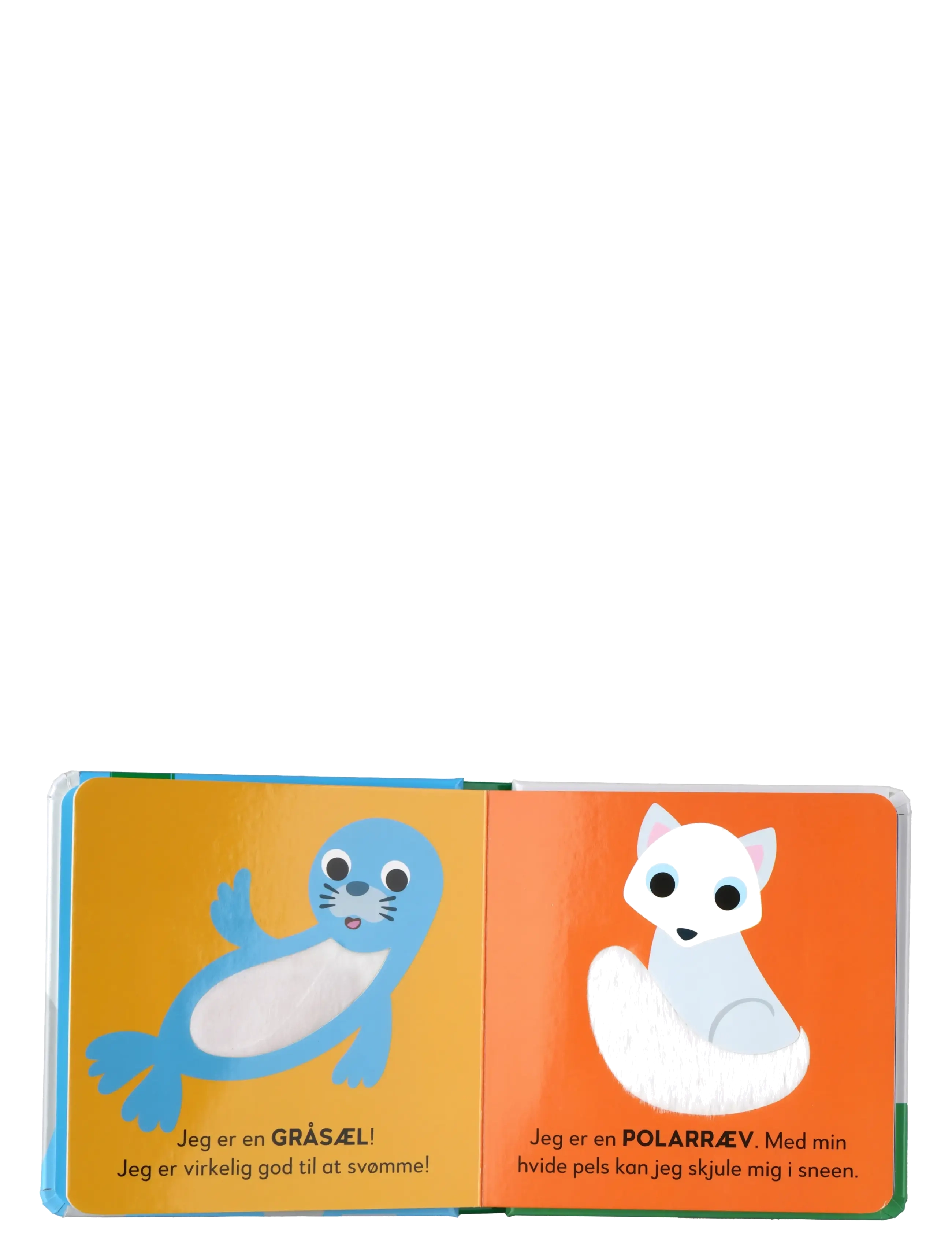 GLOBE - Rør& følebog: Isbjørn på opdagelse - babybøger - boardbook - 2