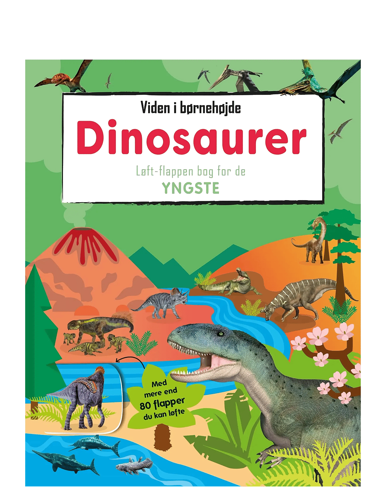Viden i børnehøjde: Dinosaurer med flapper - BOARDBOOK