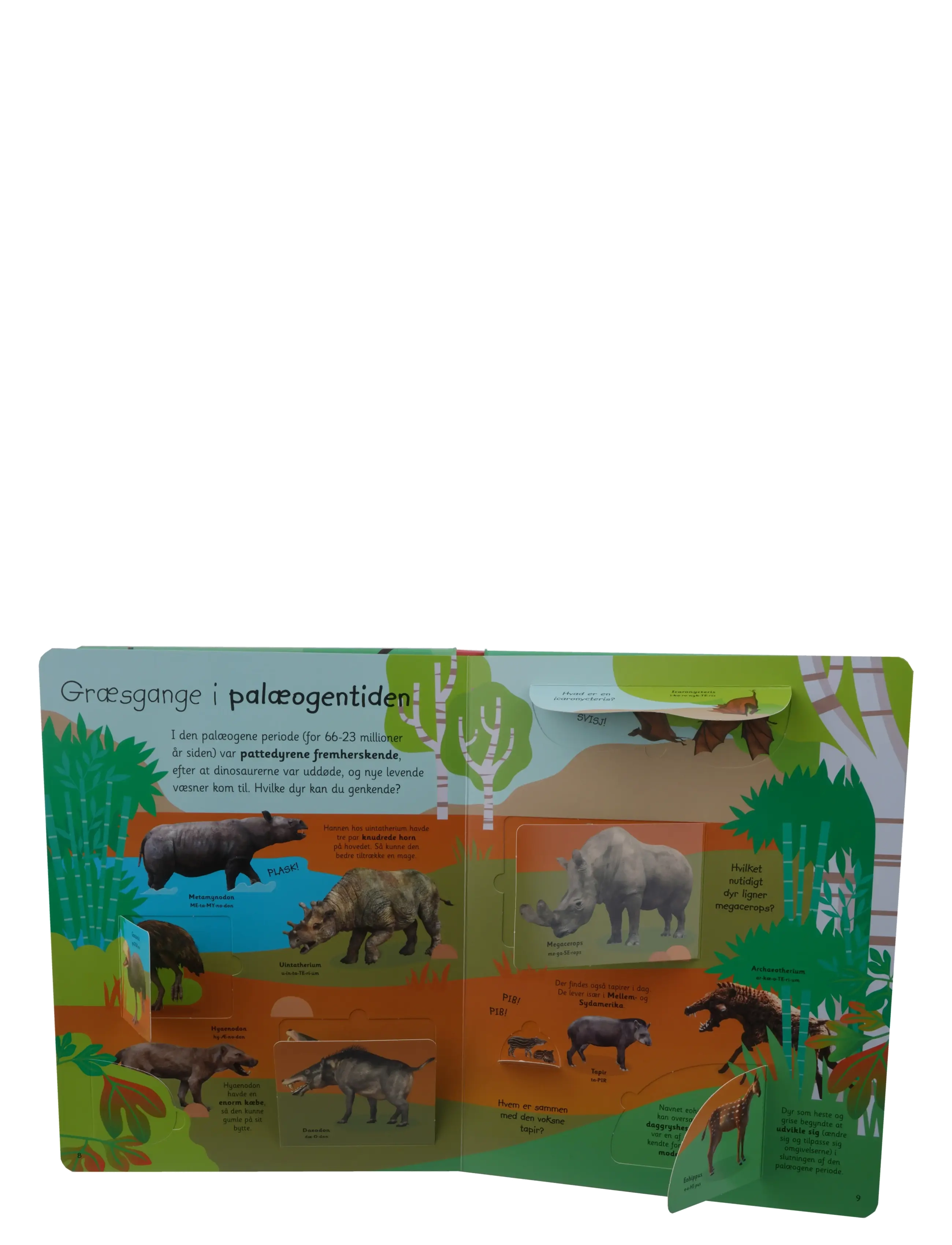 GLOBE - Viden i børnehøjde: Dinosaurer med flapper - pædagogiske bøger - boardbook - 2