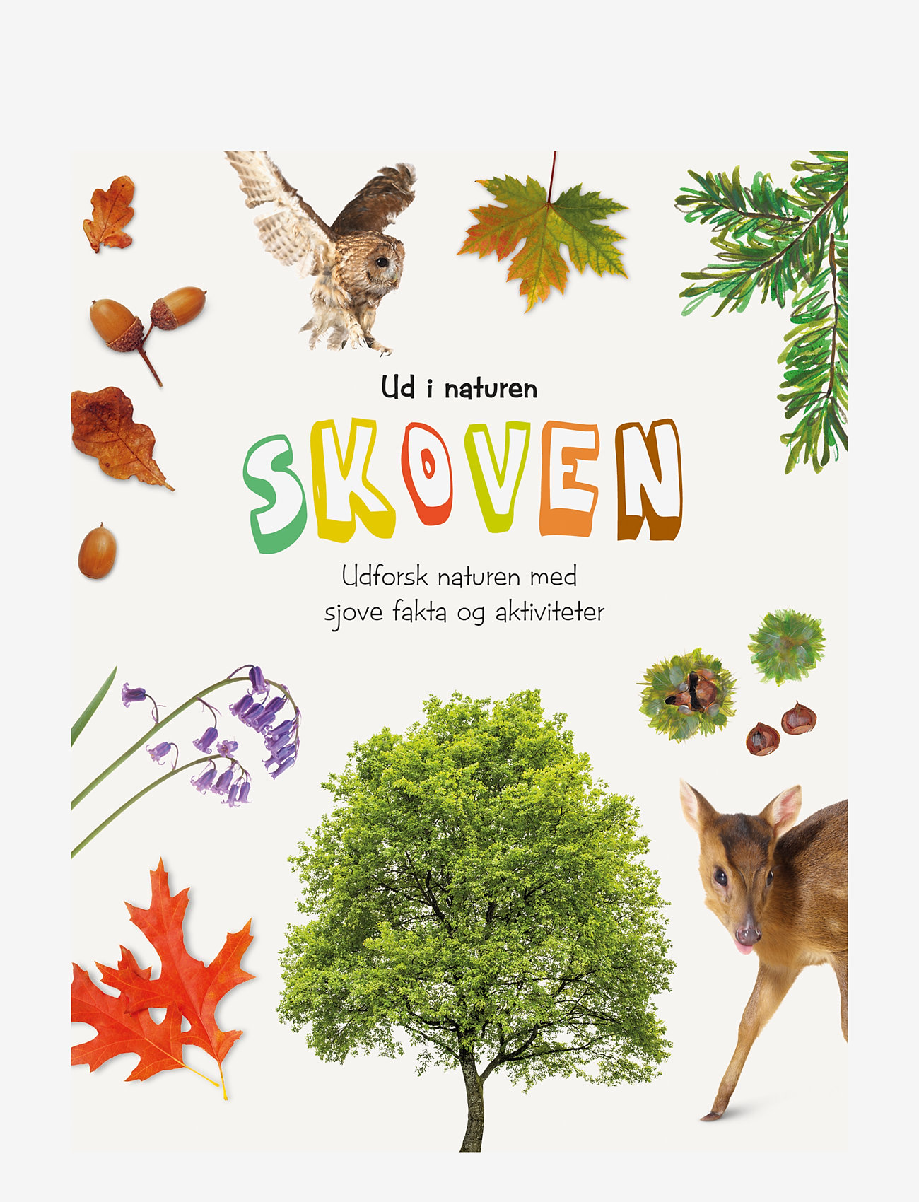 GLOBE - Ud i naturen Skoven - pædagogiske bøger - children's book - 0