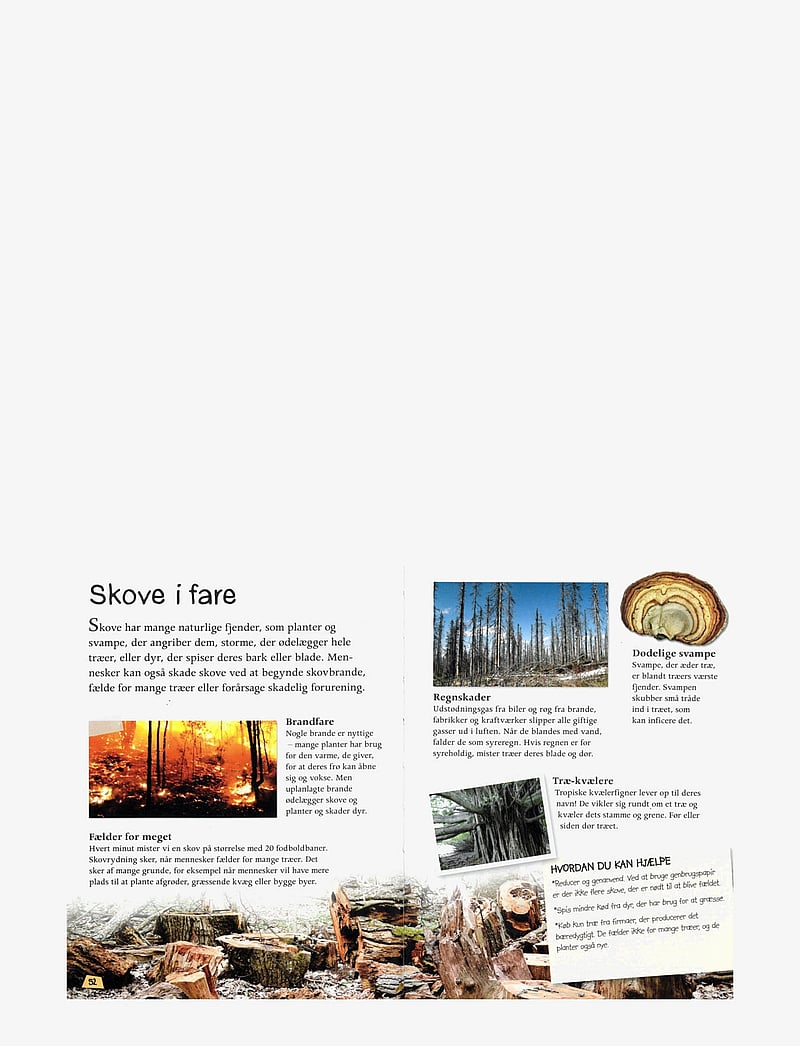 GLOBE - Ud i naturen Skoven - fræðslubækur - children's book - 1