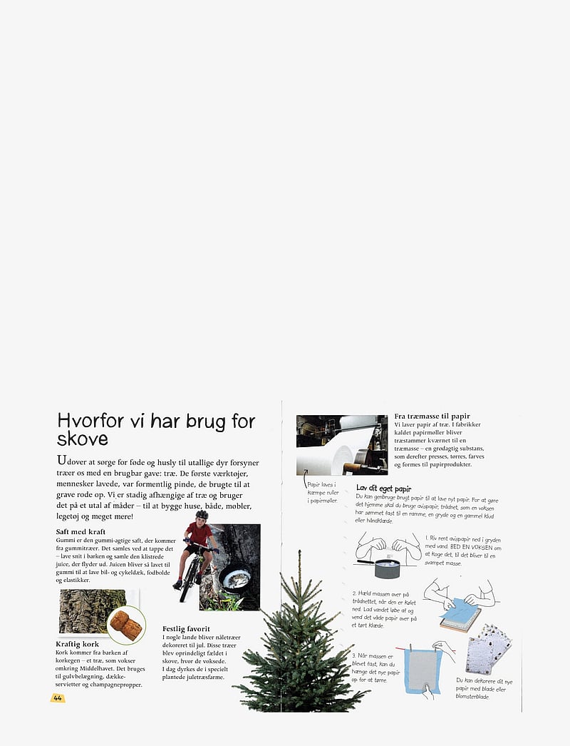 GLOBE - Ud i naturen Skoven - fræðslubækur - children's book - 2