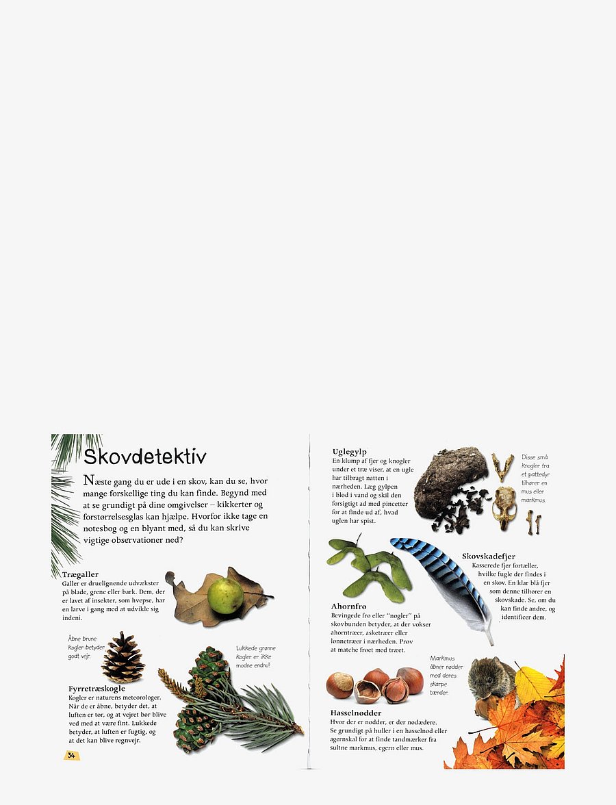 GLOBE - Ud i naturen Skoven - educational books - children's book - 3