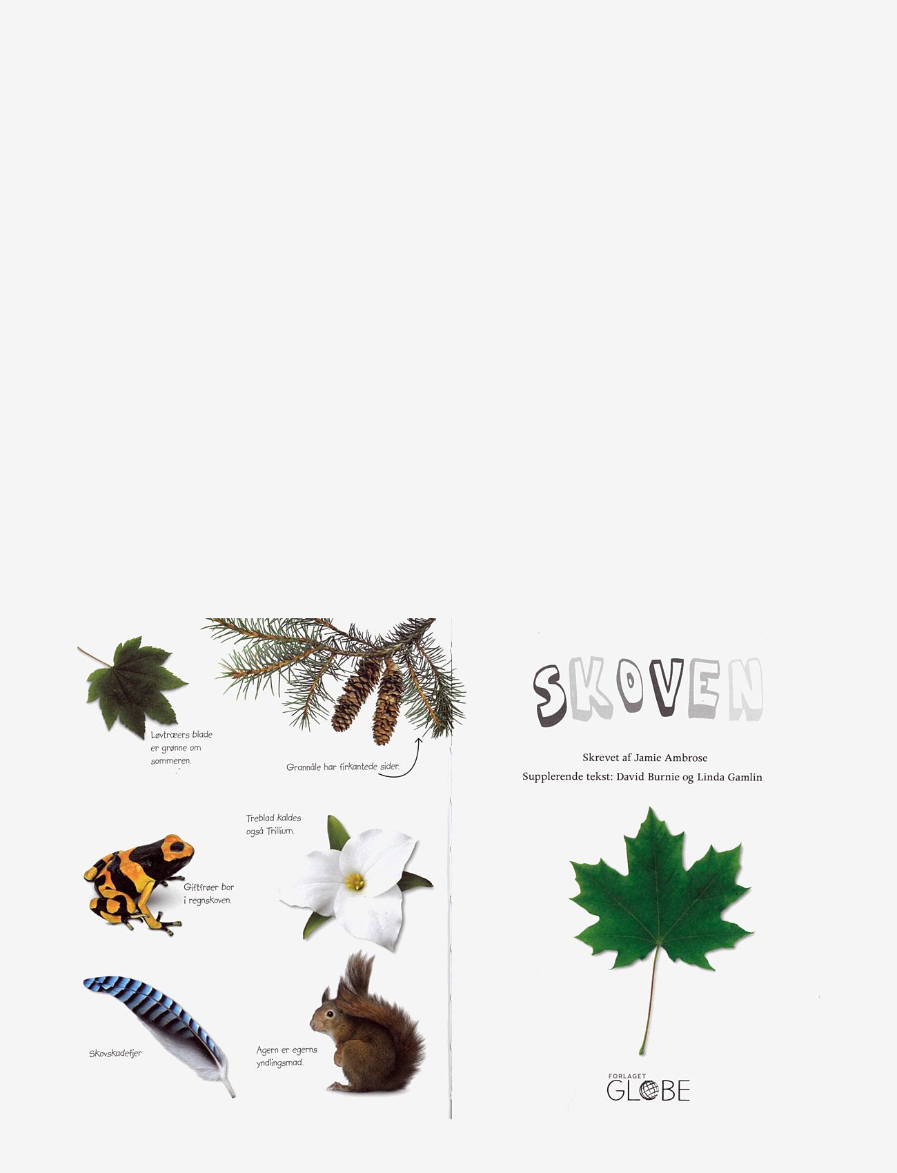 GLOBE - Ud i naturen Skoven - pædagogiske bøger - children's book - 5