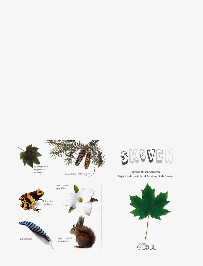 GLOBE - Ud i naturen Skoven - fræðslubækur - children's book - 5