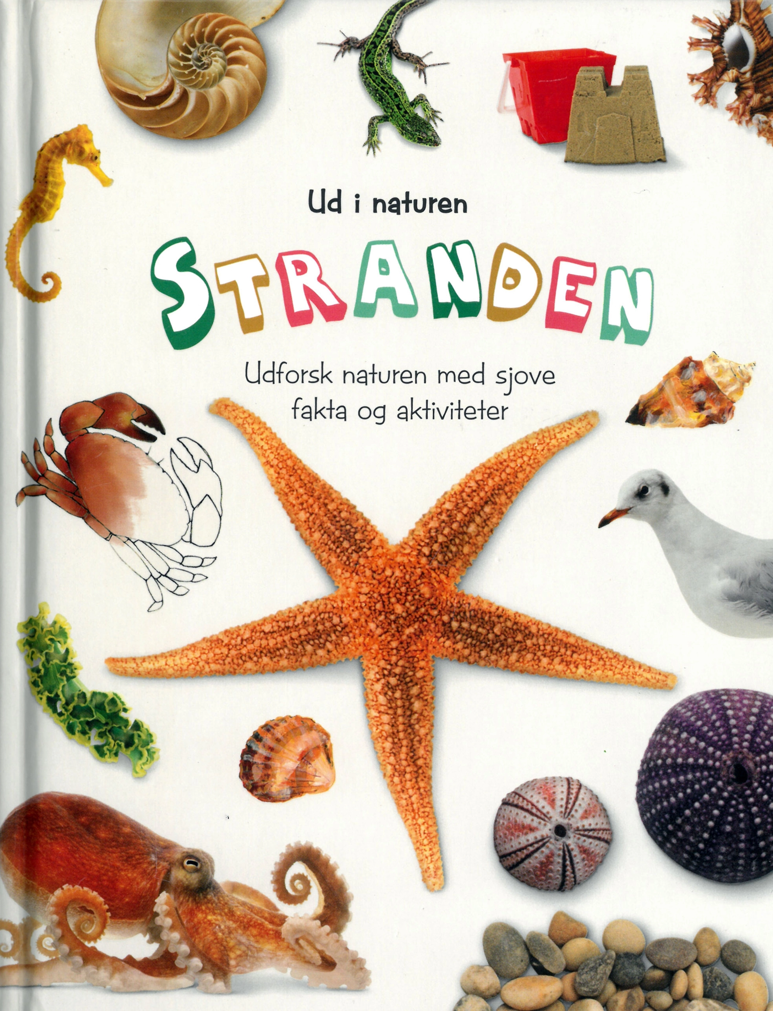 GLOBE Ud I Naturen Stranden, DANISH, Multi/patterned, Babybøger > Pædagogiske Bøger, Børn