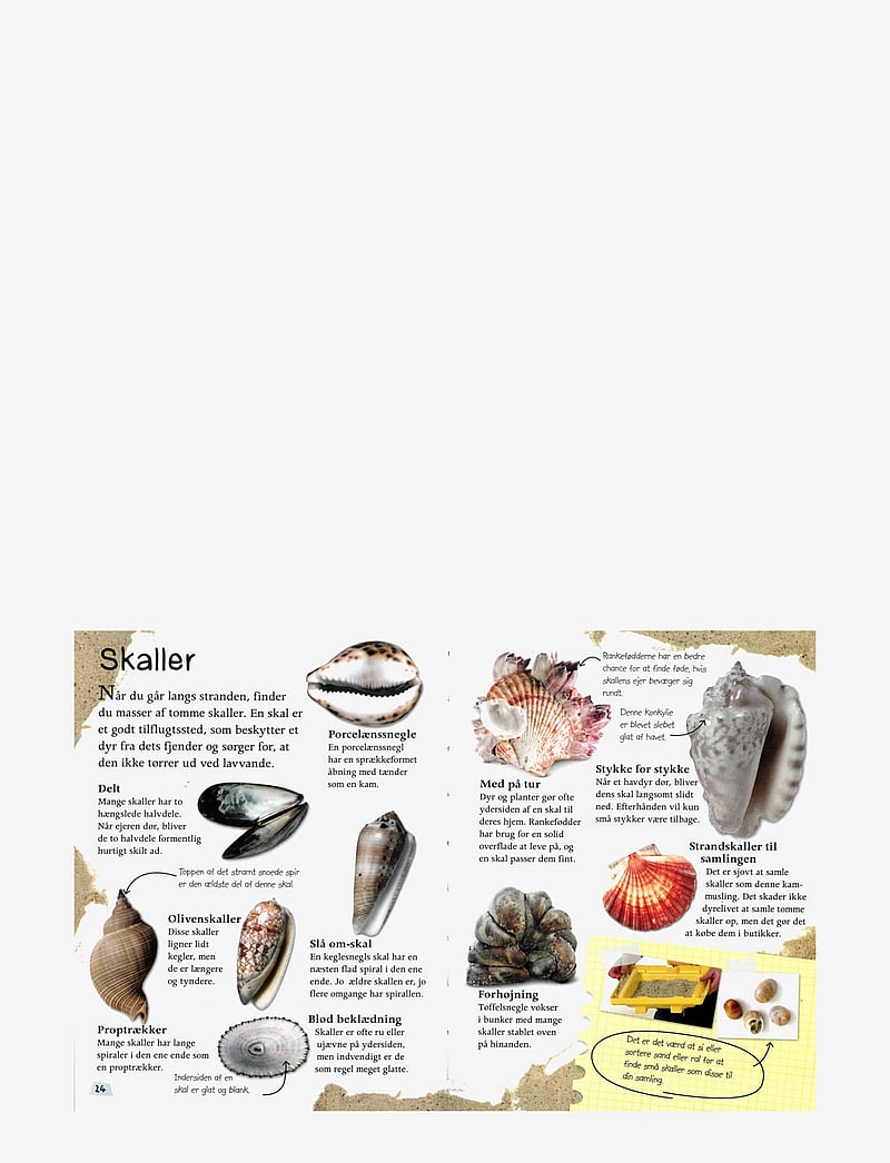 GLOBE - Ud i naturen Stranden - opetuskirjat - children's book - 2