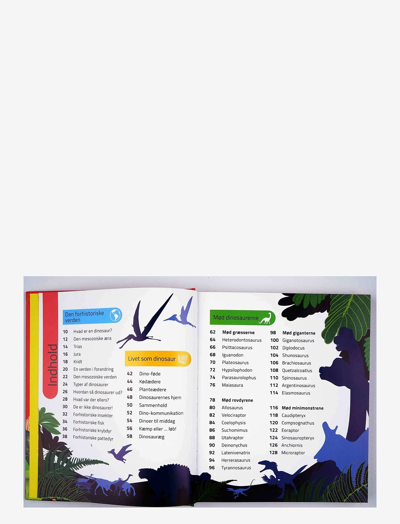 GLOBE - Dinosaurleksikon for de yngste - educational books - children's book - 1