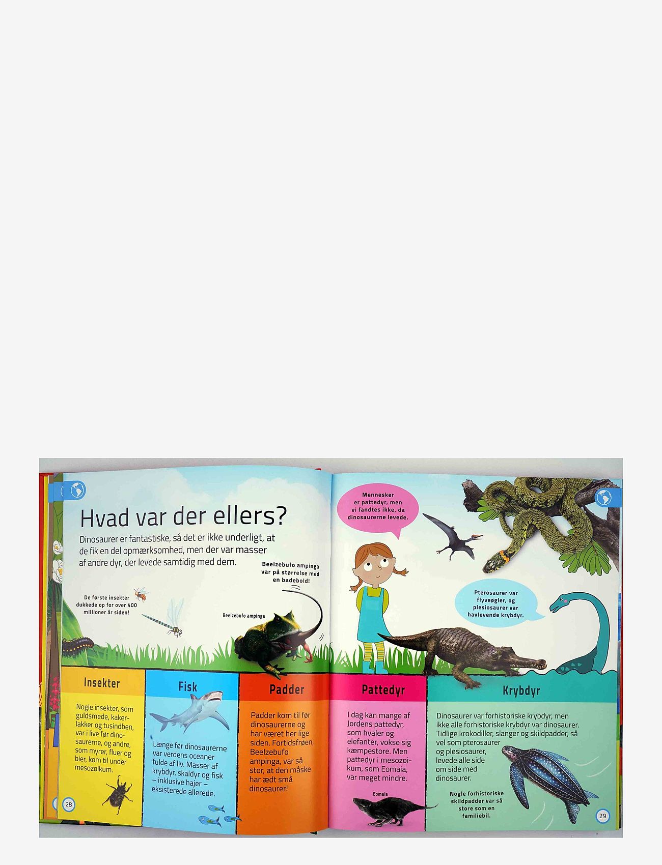 GLOBE - Dinosaurleksikon for de yngste - educational books - children's book - 3