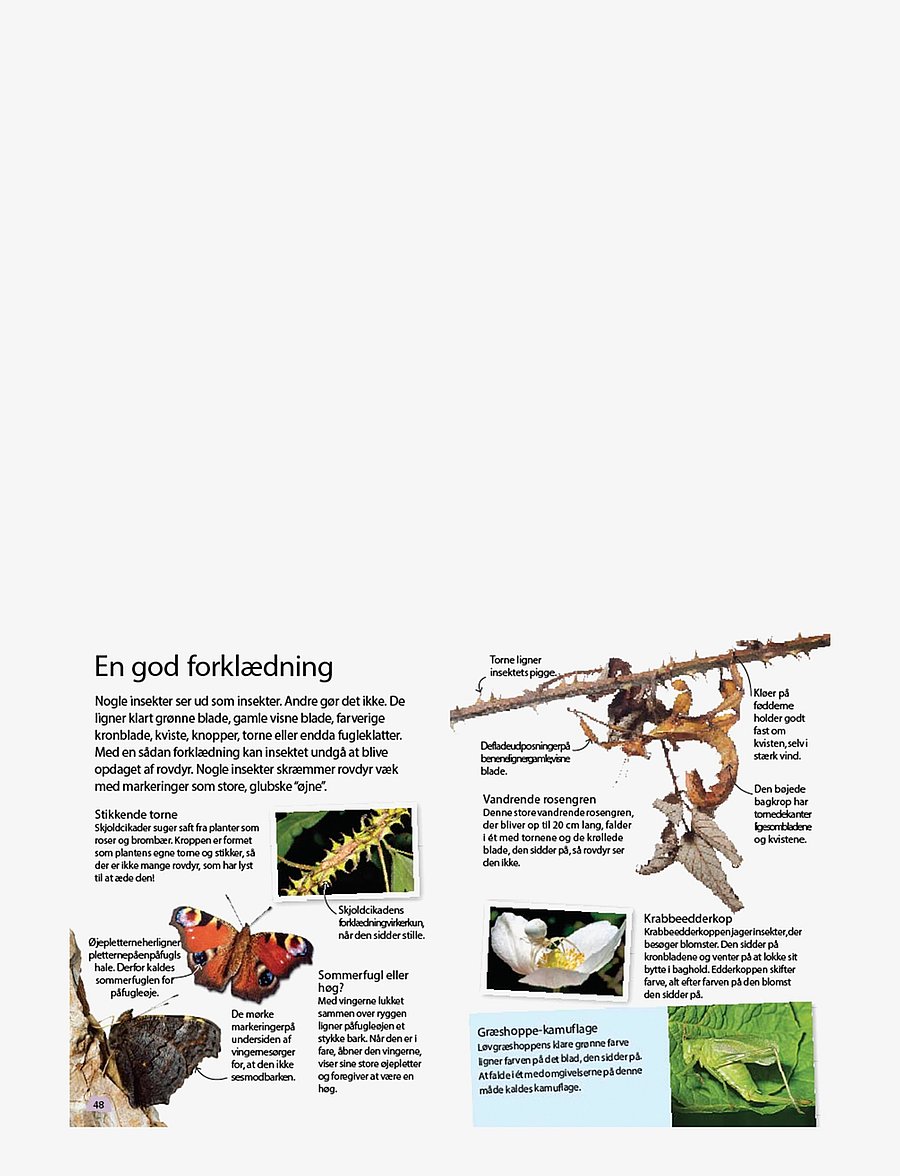 GLOBE - Ud i naturen Insekter & edderkopper - fræðslubækur - children's book - 1