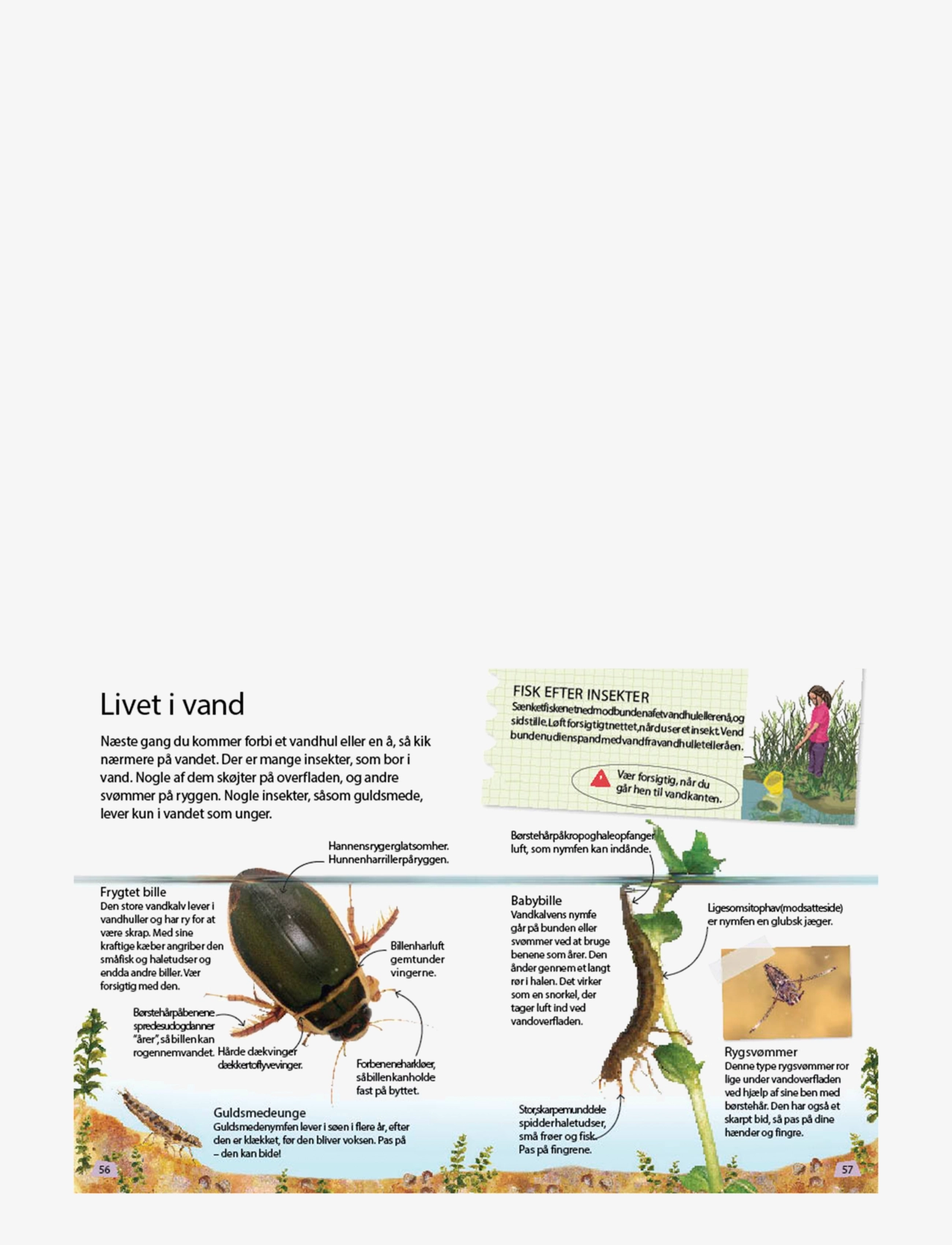 GLOBE - Ud i naturen Insekter & edderkopper - pædagogiske bøger - children's book - 2