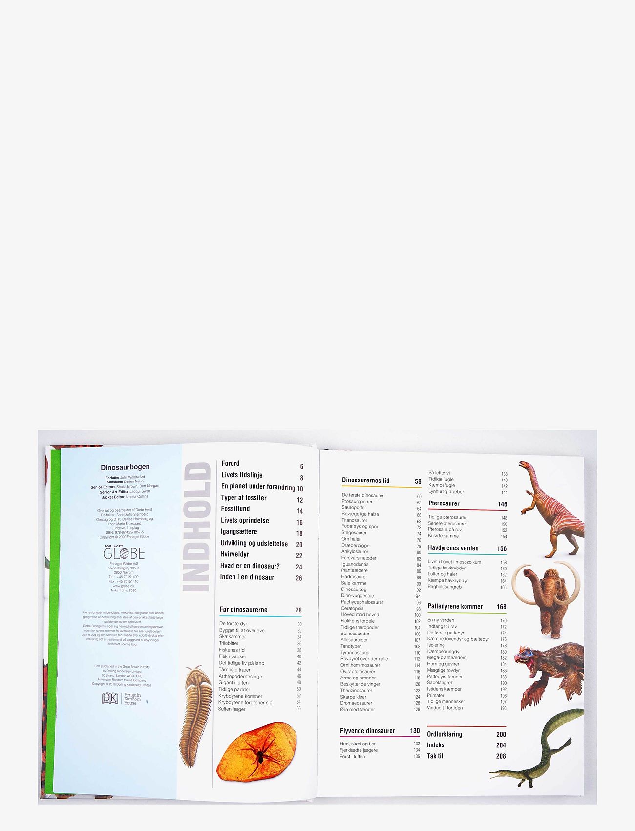GLOBE - Dinosaurbogen - laveste priser - children's book - 1