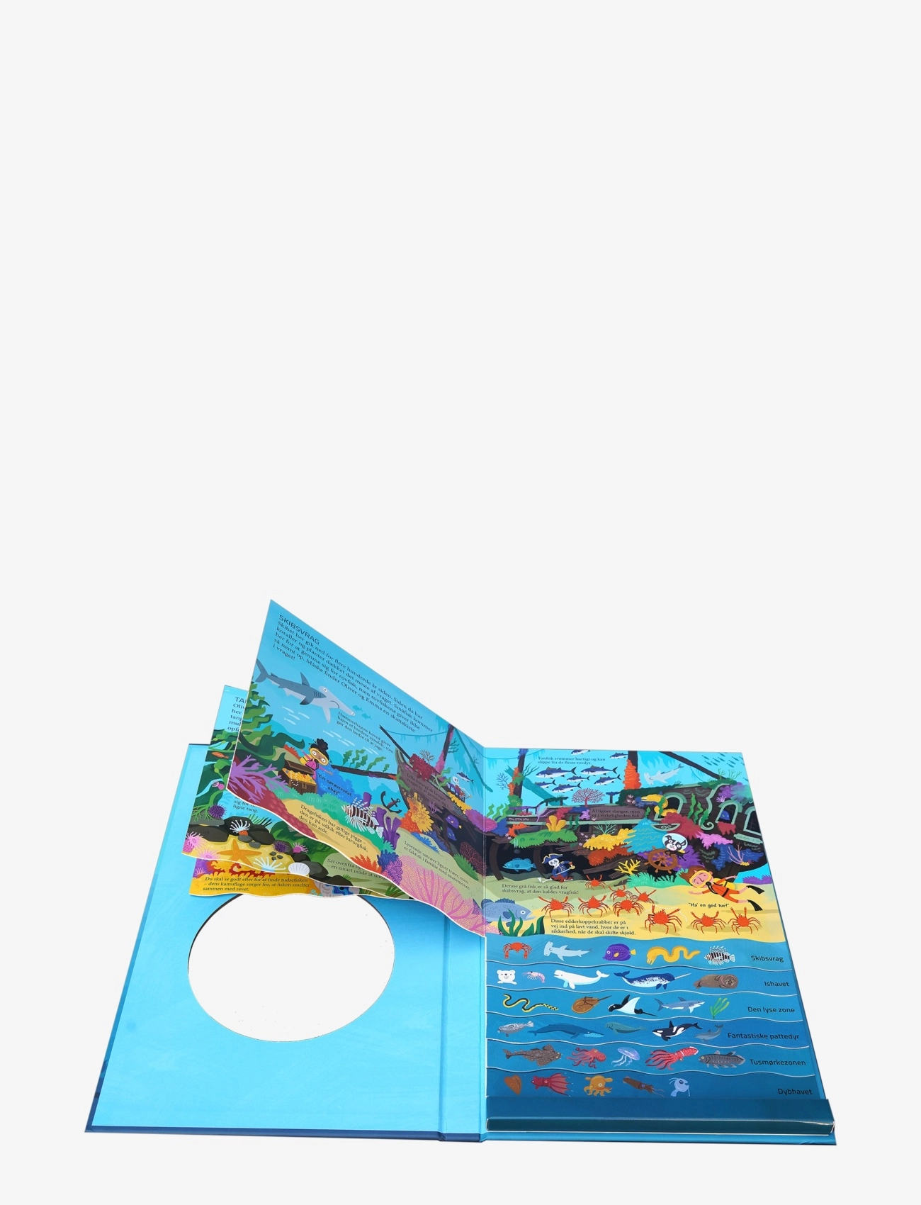 GLOBE - Kom med ned i havet - pædagogiske bøger - boardbook - 1